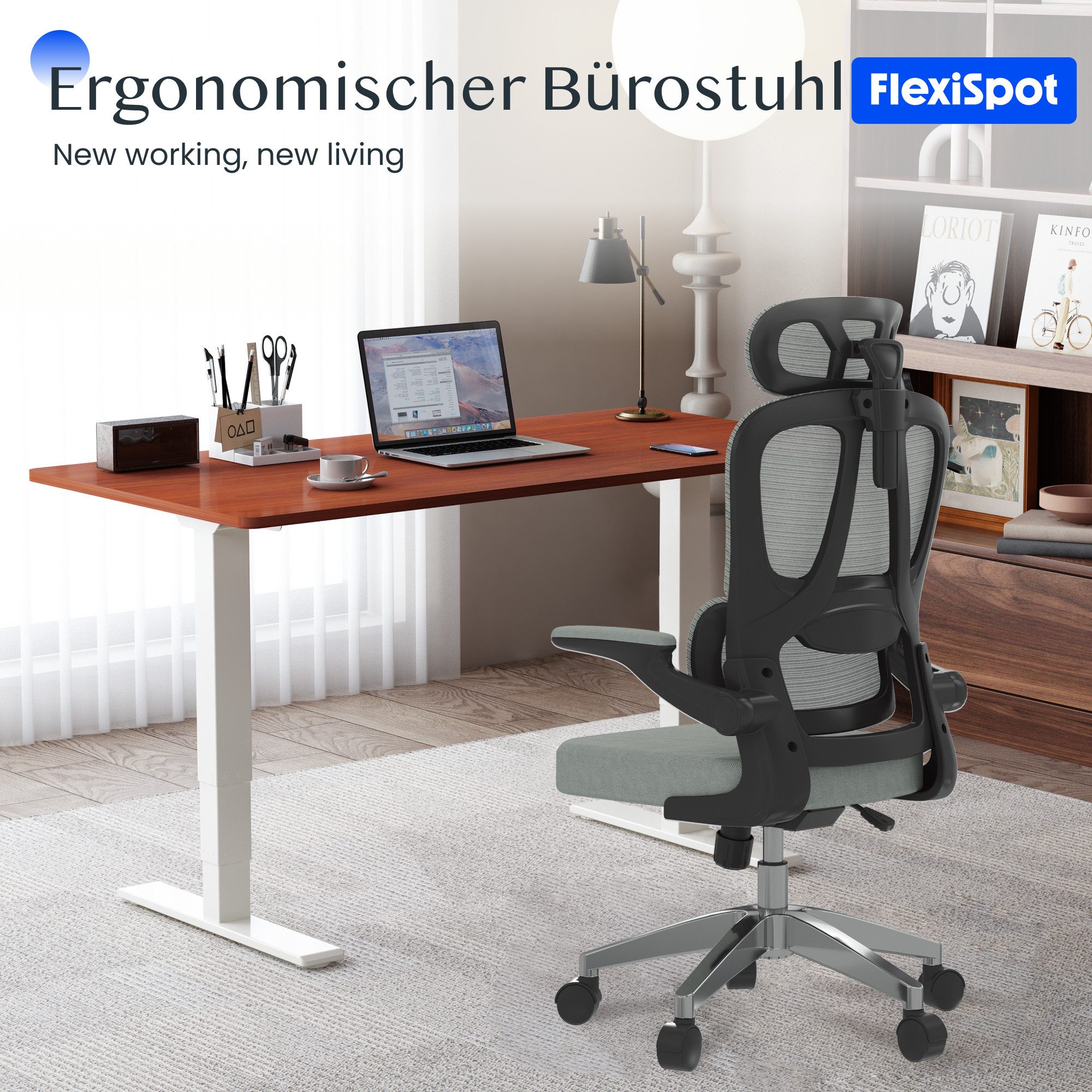 FLEXISPOT Bürostuhl Ergonomischer Schreibtischstuhl (mit 2D-Kopfstütze, günstig online kaufen