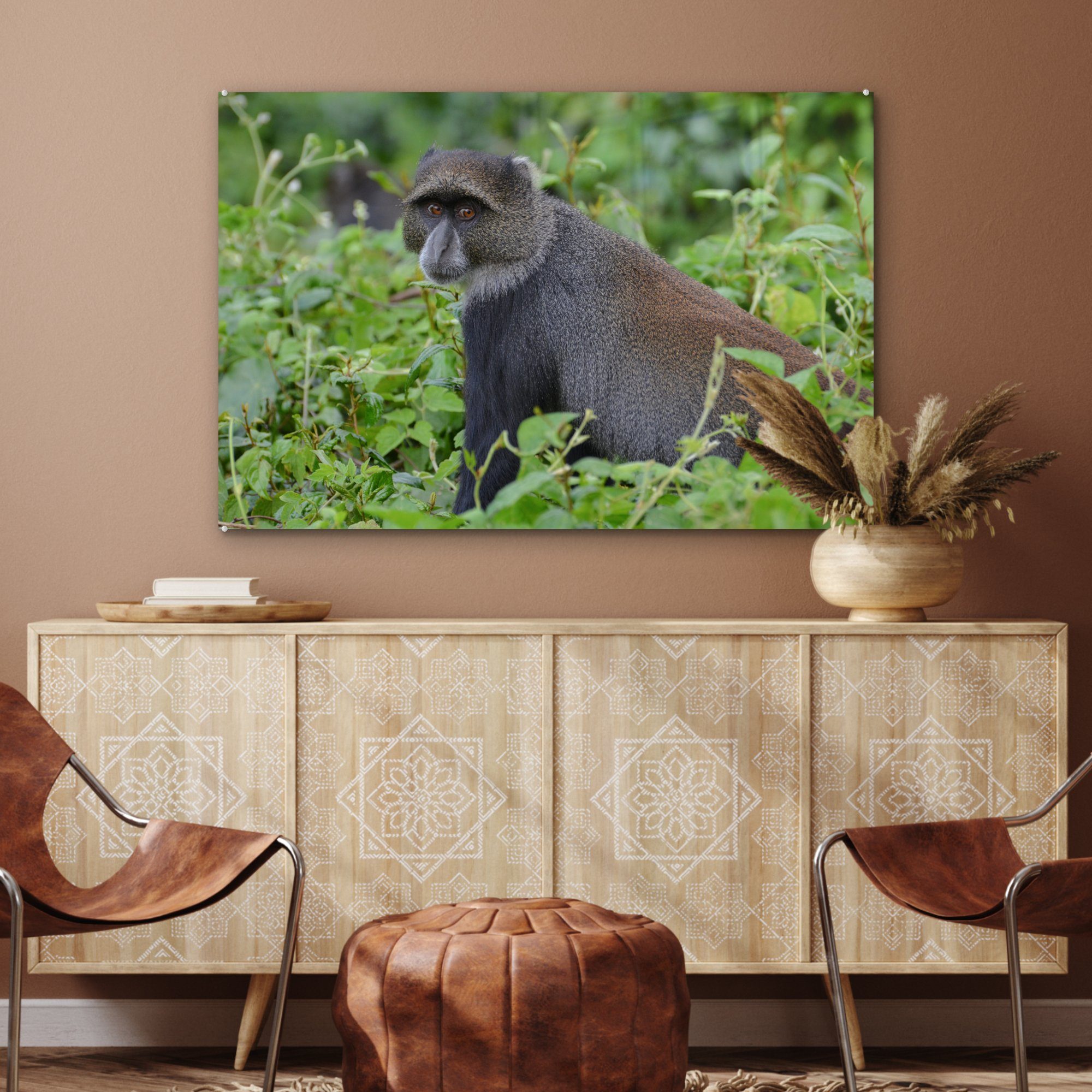 Wohnzimmer des & dichten Schlafzimmer Acrylglasbild Affe Wäldern (1 den St), MuchoWow Acrylglasbilder Neugieriger Arusha-Nationalparks, in