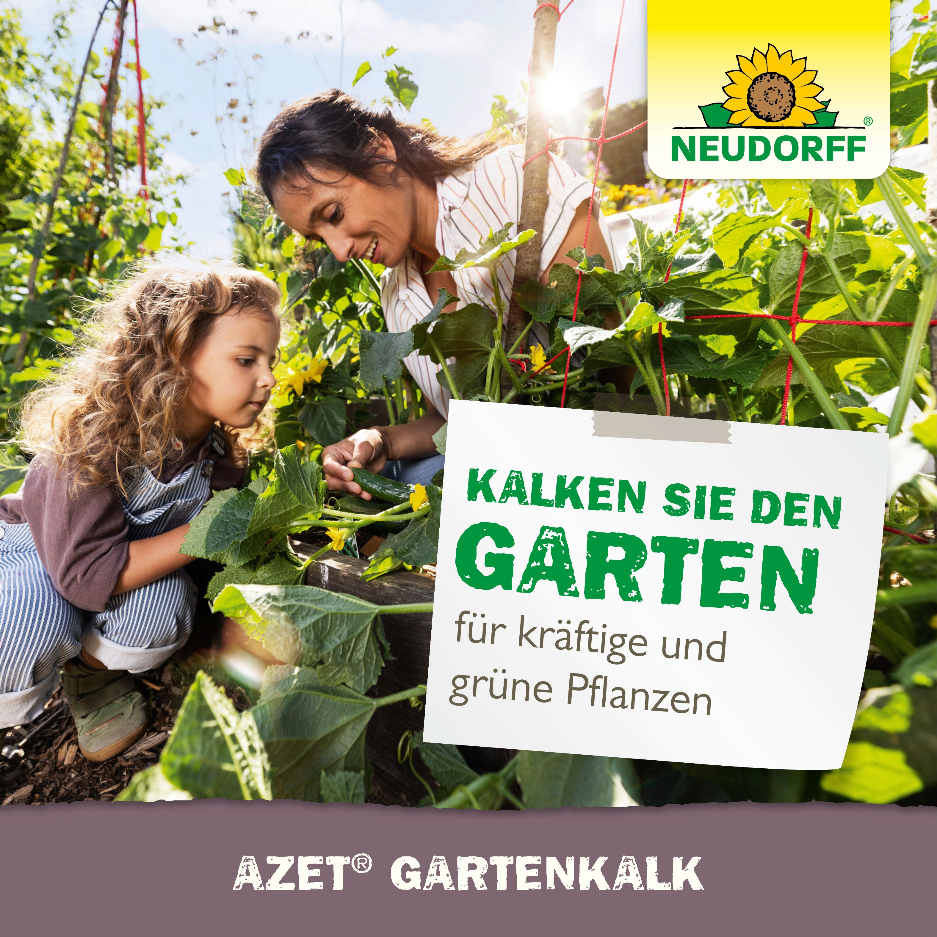 Neudorff Rasenkalk Azet GartenKalk 2,5 kg für 50 m², Erhöht den pH-Wert und neutralisiert überschüssige Bodensäuren, Gartenkalk zur Regulierung saurer Böden für – Bild 2 von 3