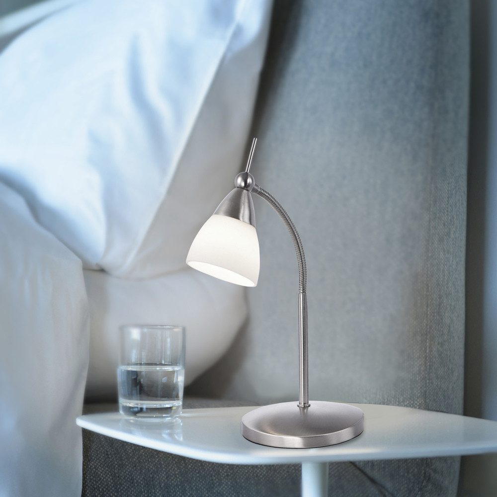 Paul Neuhaus LED Tischleuchte LED Tischleuchte günstig online kaufen