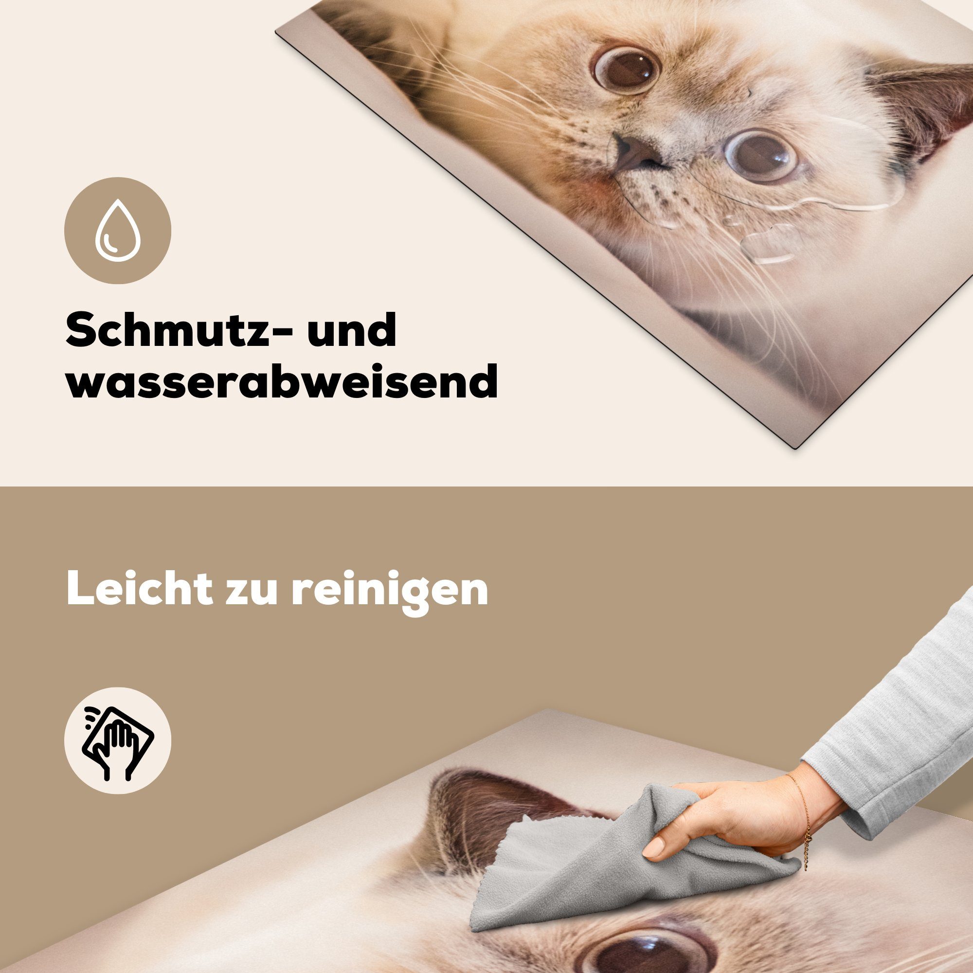 Vinyl, 81x52 Induktionskochfeld - Ceranfeldabdeckung für Herdblende-/Abdeckplatte Weiß Katze cm, tlg), - Großaufnahme, Schutz die küche, (1 MuchoWow