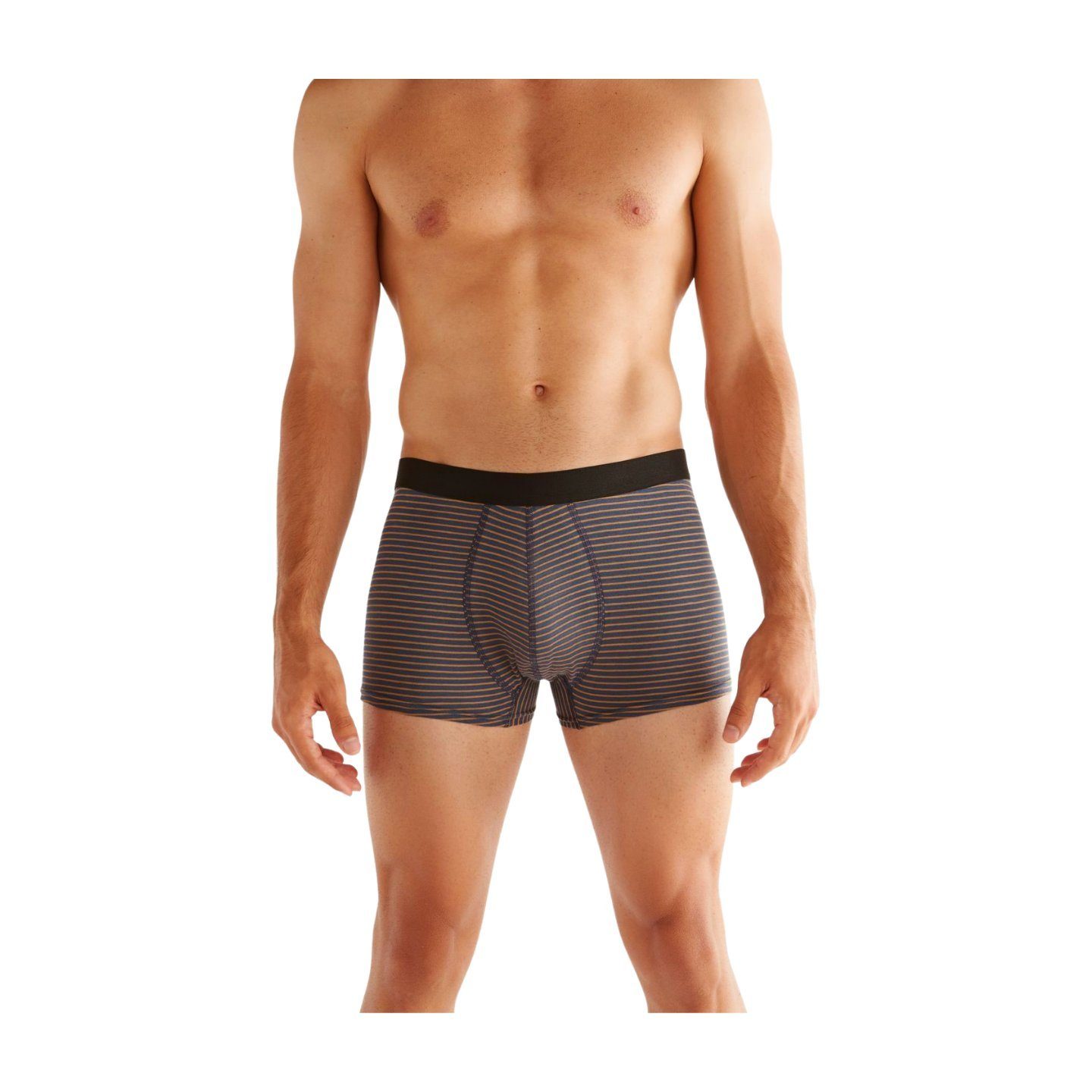 Albero Natur Shorts Trunk Boxershorts indigo/ingwer