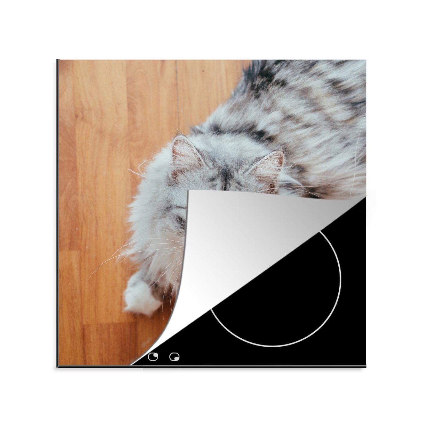 MuchoWow Herdblende-/Abdeckplatte Maine Coon Katze schaut auf, Vinyl, (1 tlg), 78x78 cm, Ceranfeldabdeckung, Arbeitsplatte für küche
