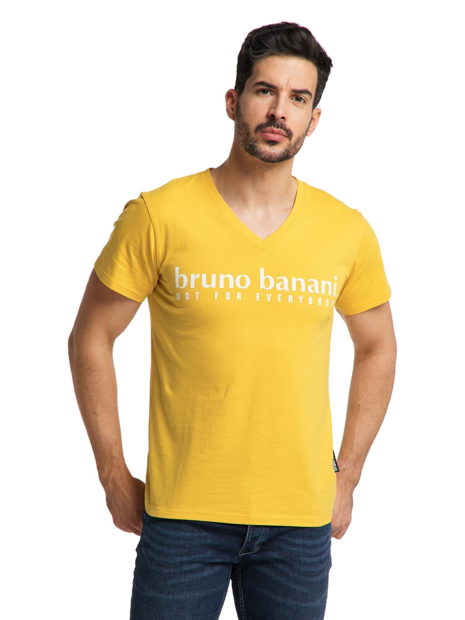 Bruno Banani T-Shirt AVILA