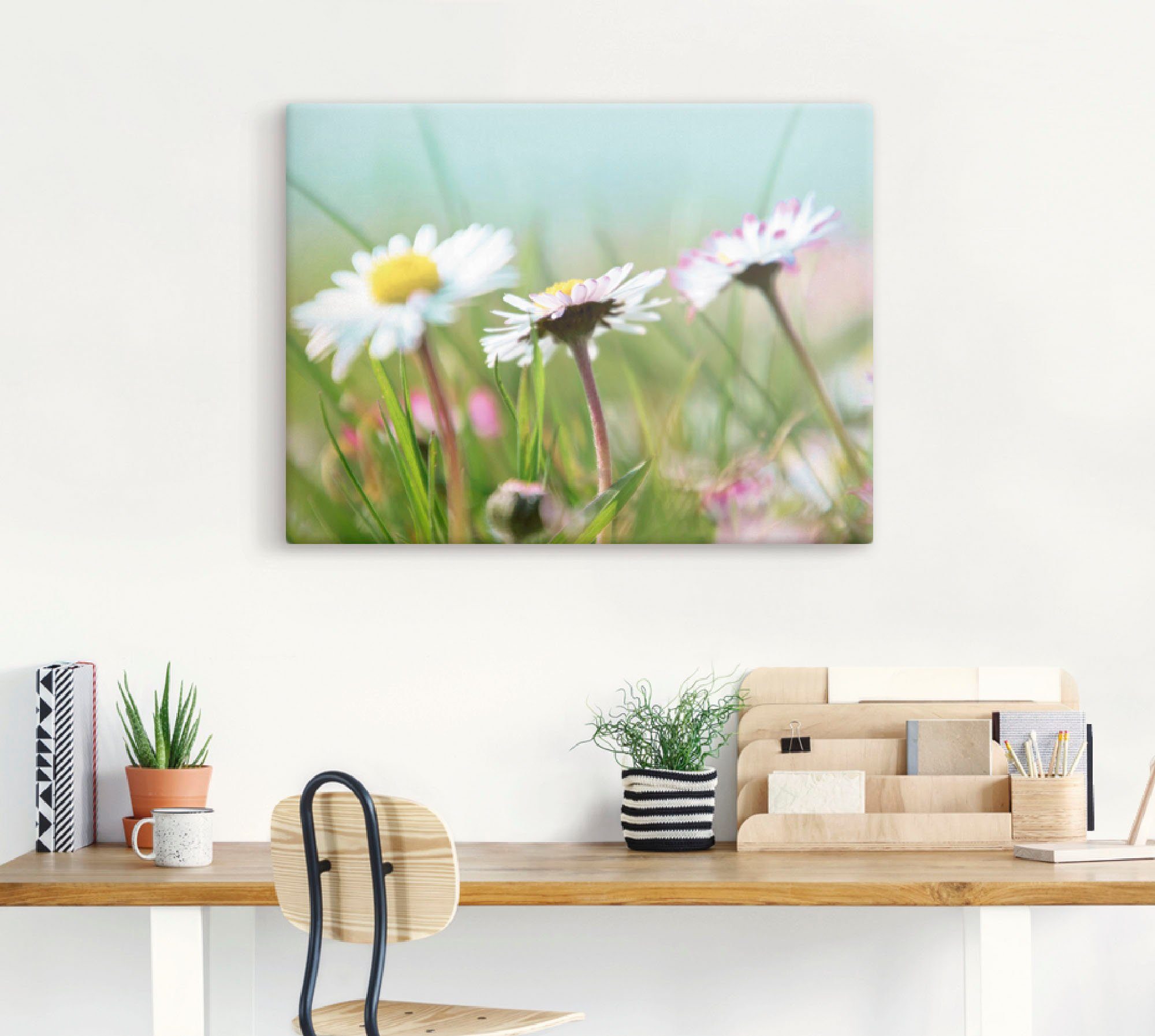 Artland Leinwandbild Gänseblümchen Romantik, Blumen (1 St), auf Holzrahmen gespannt