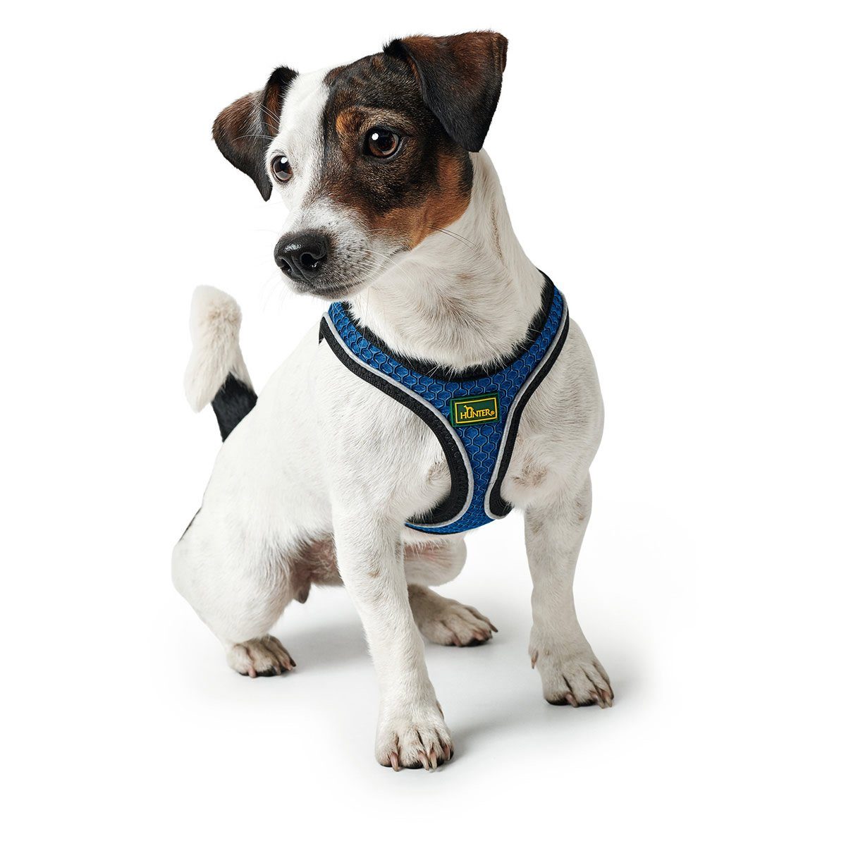 Hunter Tierbedarf Hunde-Geschirr Geschirr Hilo Comfort blau günstig online kaufen