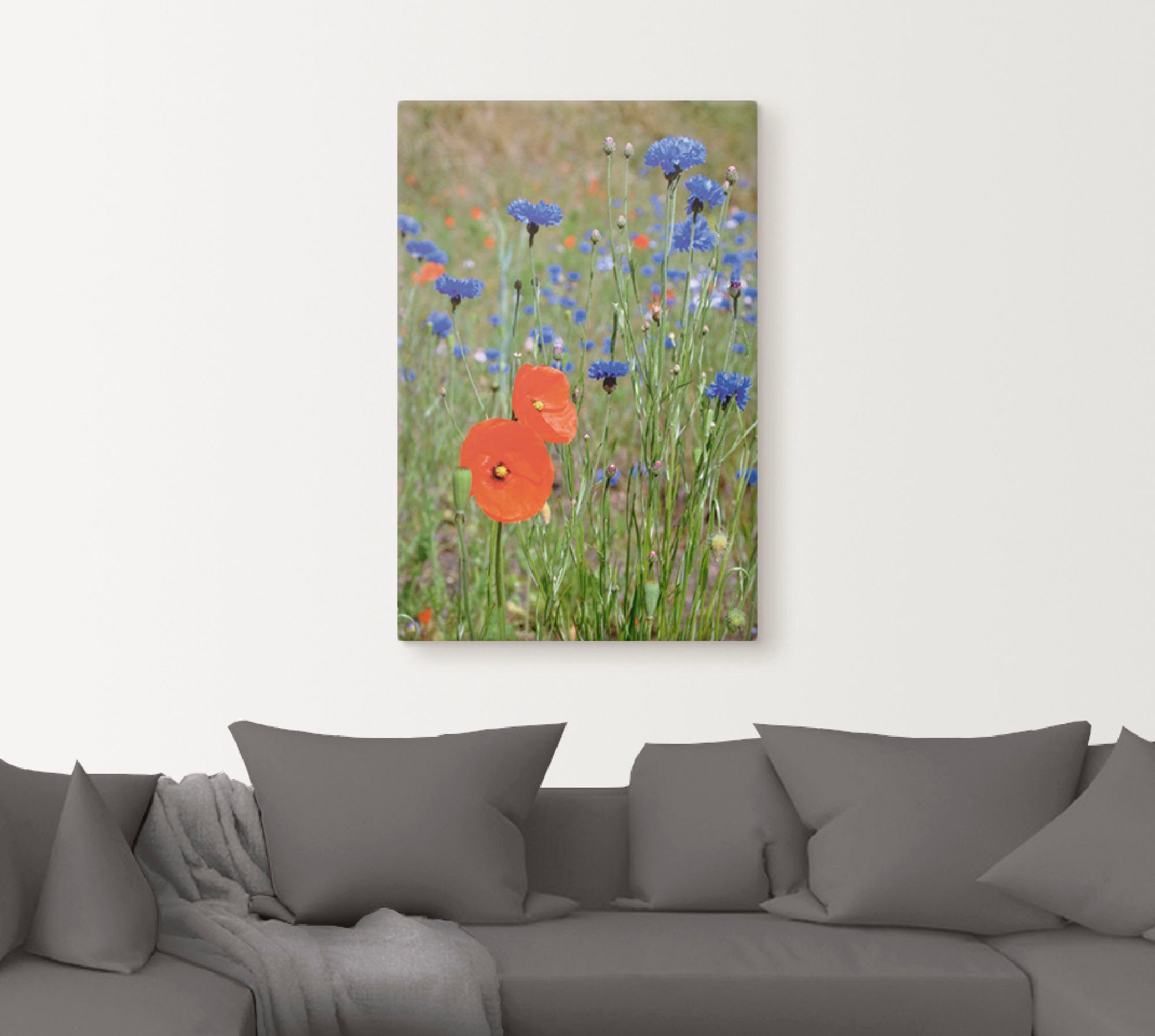 Artland Leinwandbild Wiese mit Mohnblumen und Kornblumen, Blumen (1 St), auf Holzrahmen gespannt