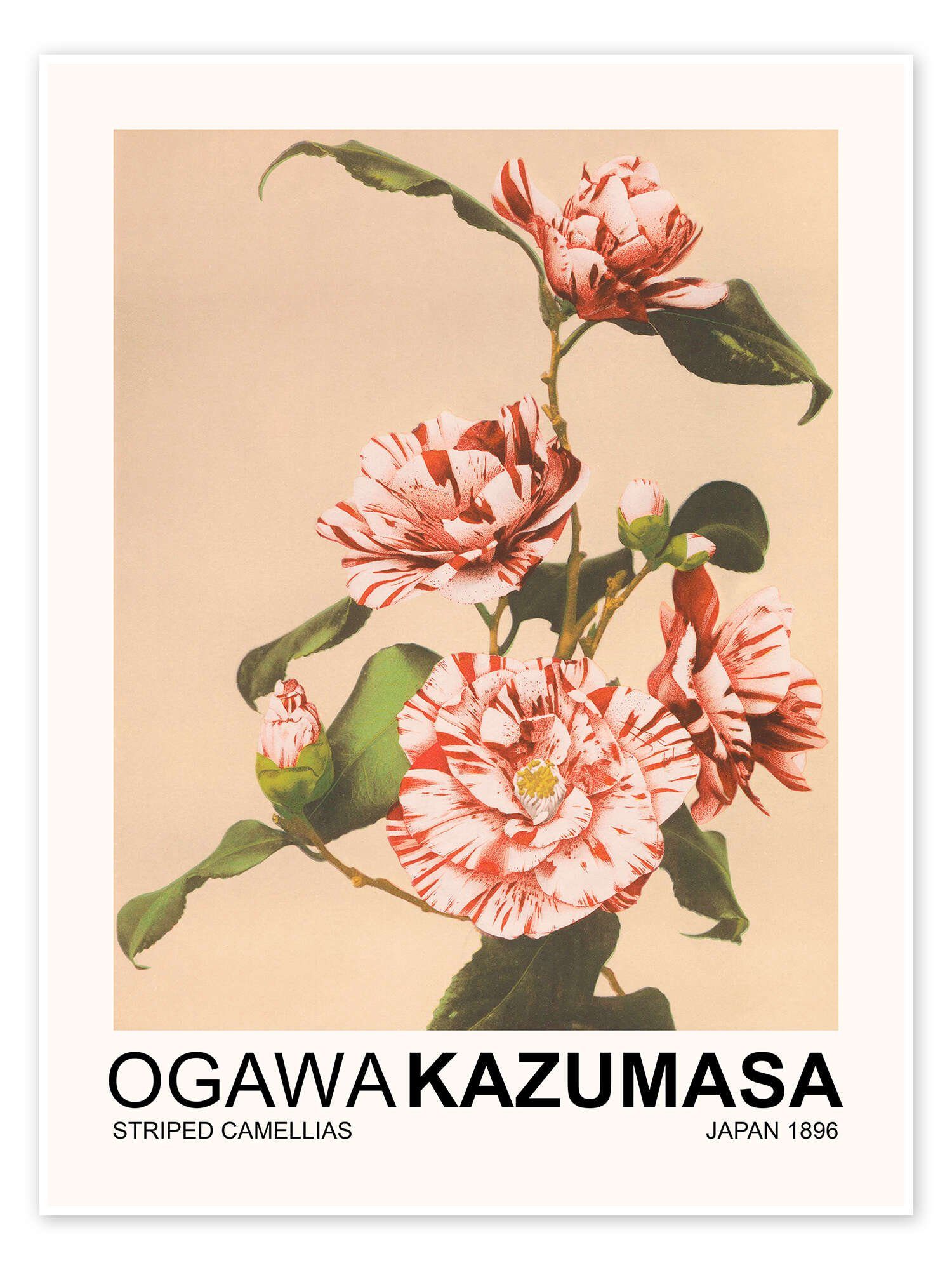 Poster Ogawa Kazumasa