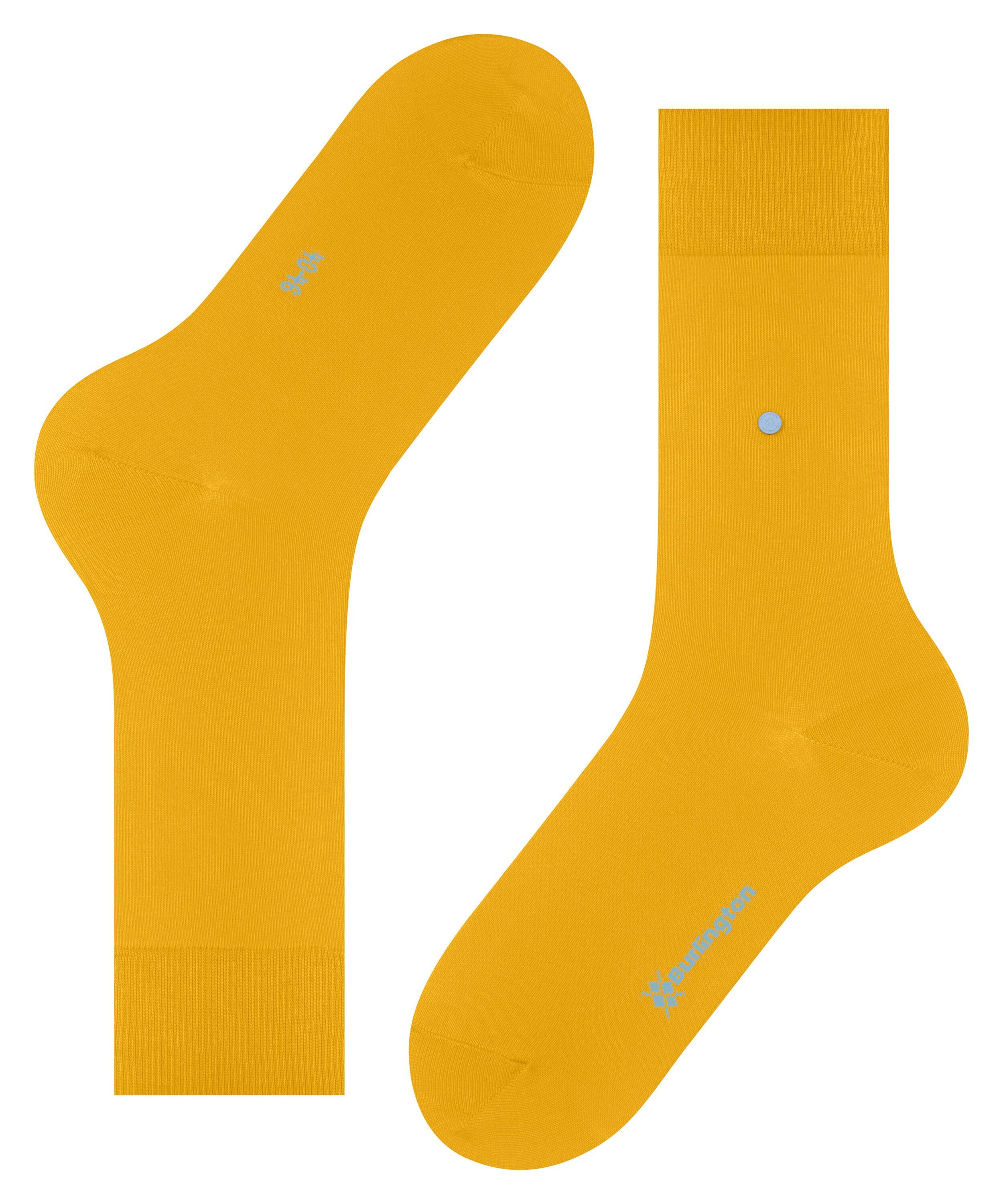 Lord Burlington (1314) solar Socken (1-Paar)