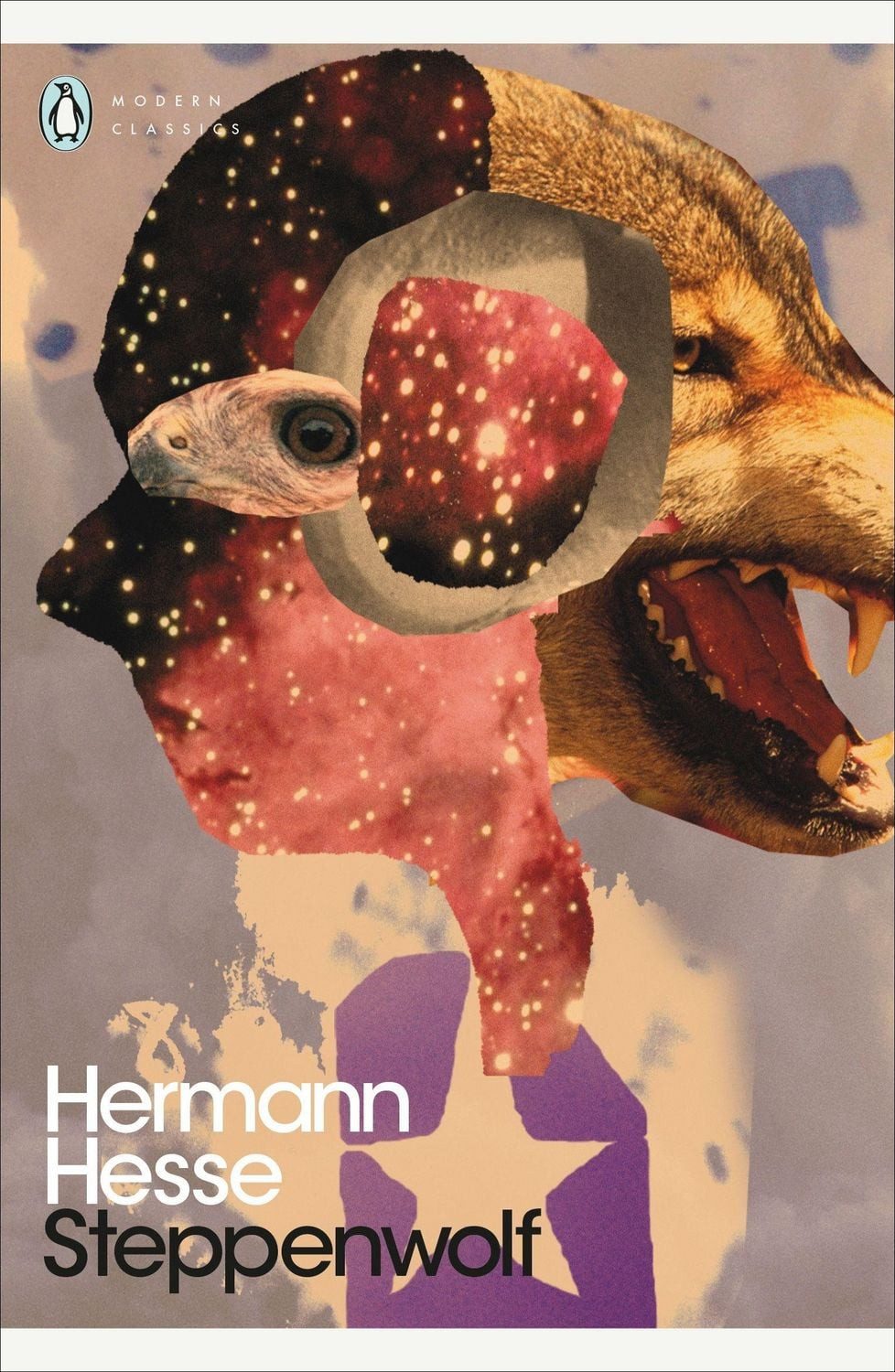 Belletristik Steppenwolf Hermann Hesse