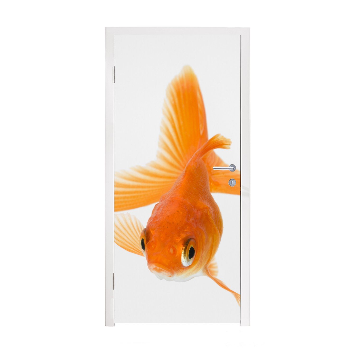 MuchoWow Türtapete Fische - Goldfisch - Weiß, Matt, bedruckt, (1 St), Fototapete für Tür, Türaufkleber, 75x205 cm