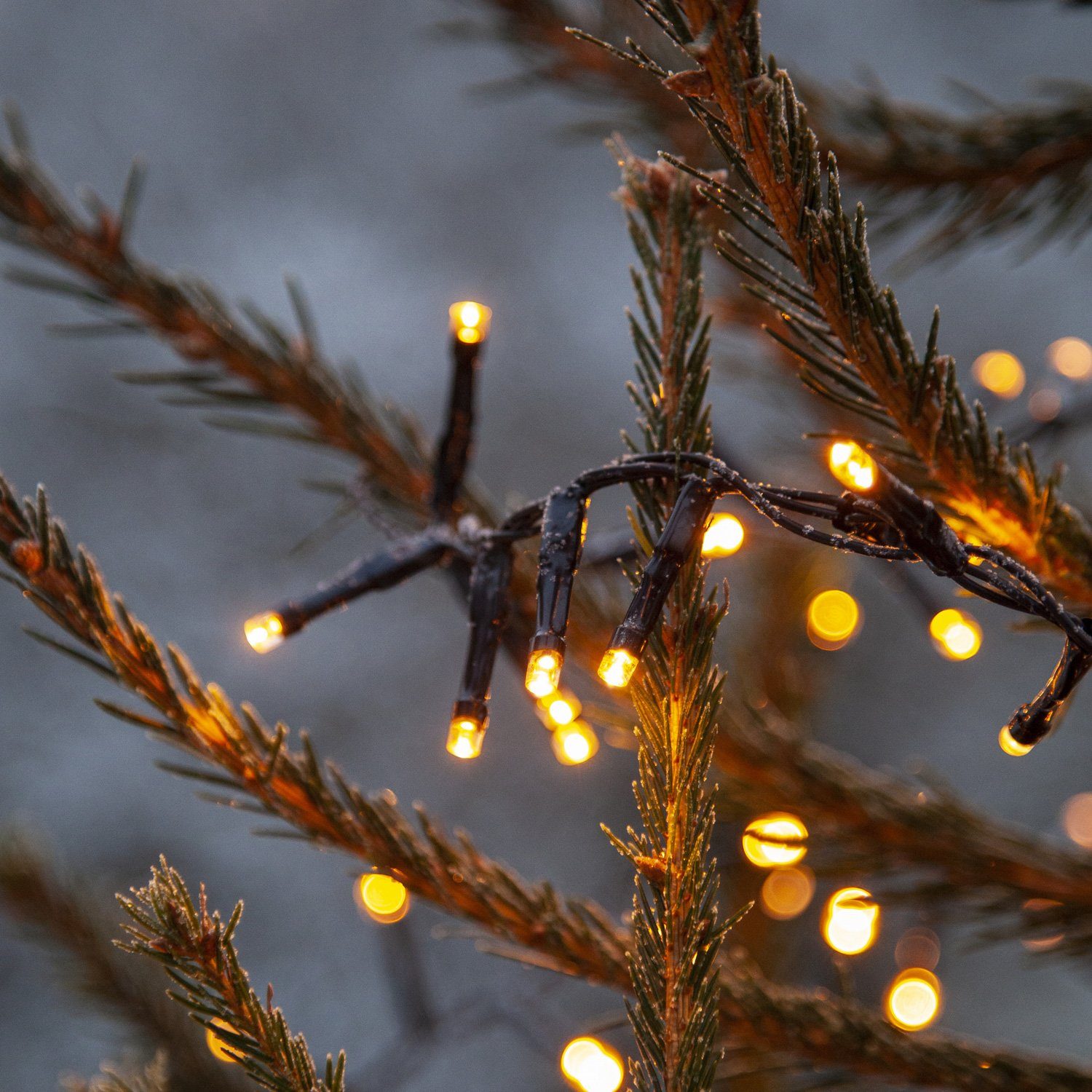 für 1200 24m, gold LED Außen LED MARELIDA LED-Lichterkette 1200-flammig warmweiße bernstein Lichterkette