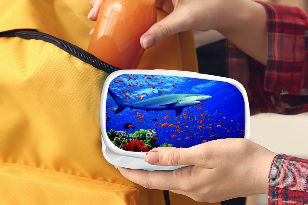 MuchoWow Lunchbox Brotbox Hai für (2-tlg), Erwachsene, Kinder Jungs für weiß Mädchen Korallenriff, und Brotdose, am und Kunststoff