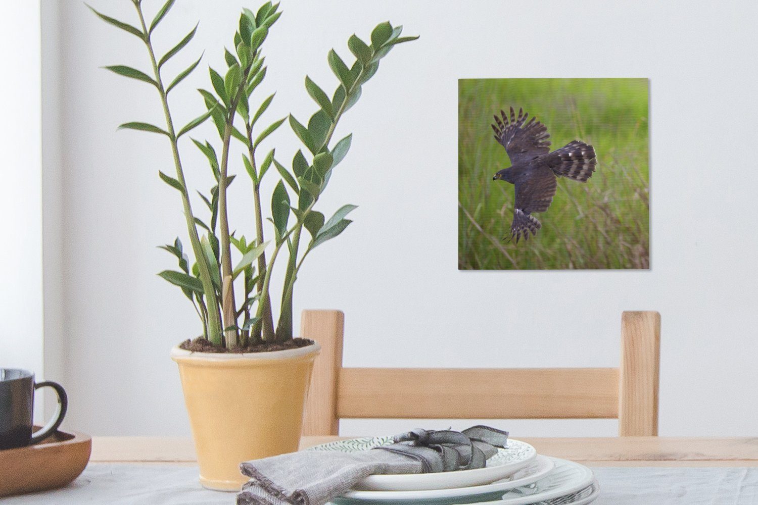 (1 Beute, St), der Jagd für Leinwand Falke Wohnzimmer seiner Ein OneMillionCanvasses® Bilder Leinwandbild auf Schlafzimmer nach