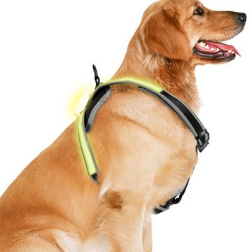 Randaco Hunde-Geschirr LED Hundegeschirr Brustgeschirr Welpen-Geschirr Leuchtend Hunde