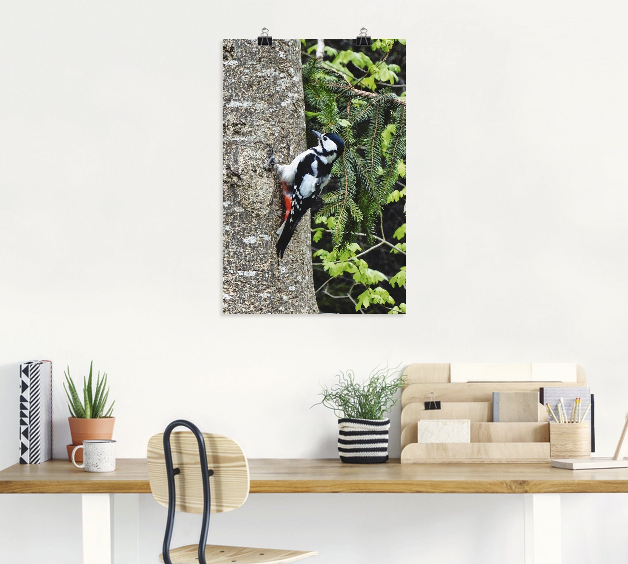 Buntspecht (1 Artland Wald, St), versch. Wandbild im Vögel in Leinwandbild, oder Wandaufkleber als Größen Poster