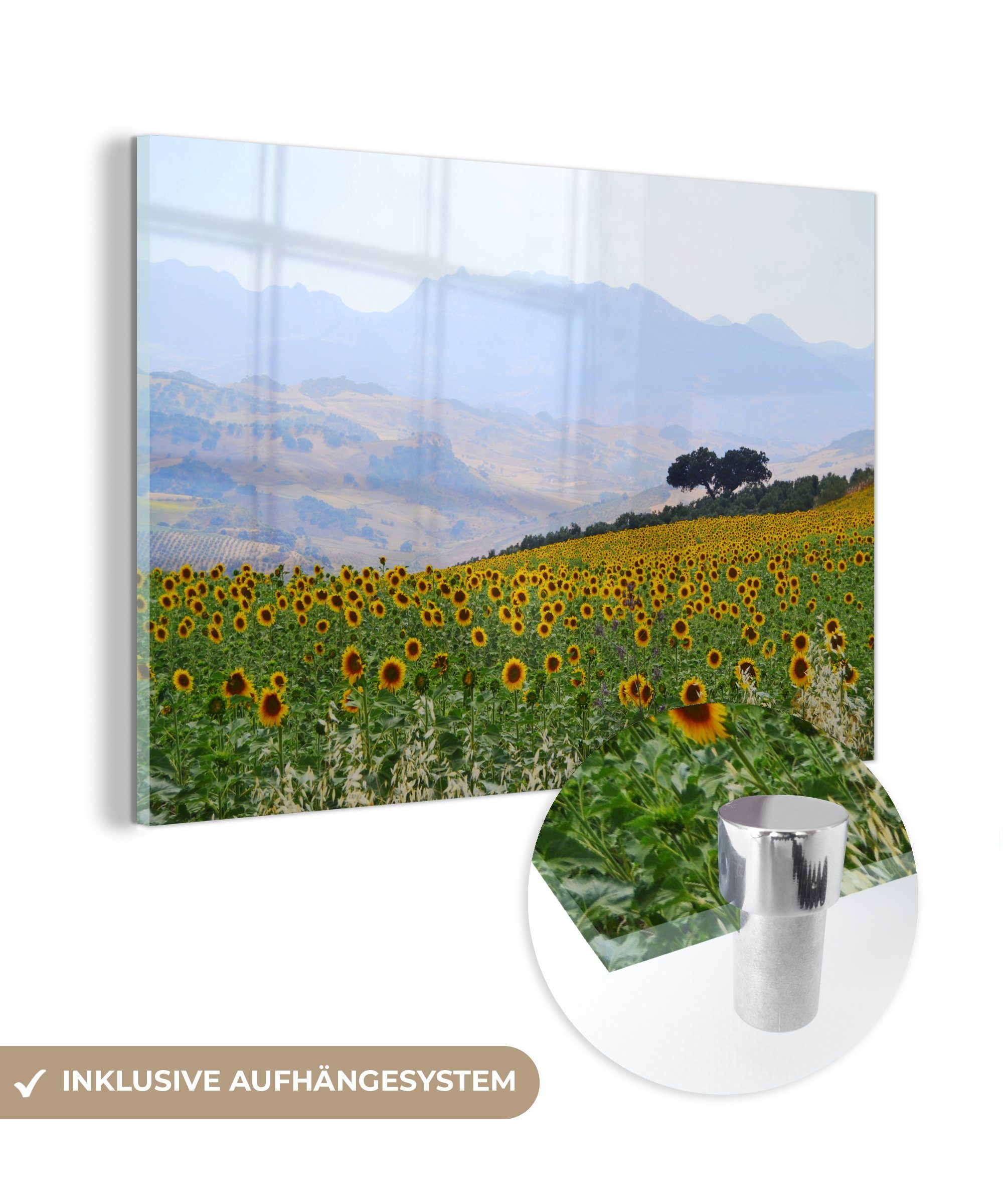 MuchoWow Acrylglasbild Sonnenblumen in Andalusien, (1 St), Acrylglasbilder Wohnzimmer & Schlafzimmer | Bilder