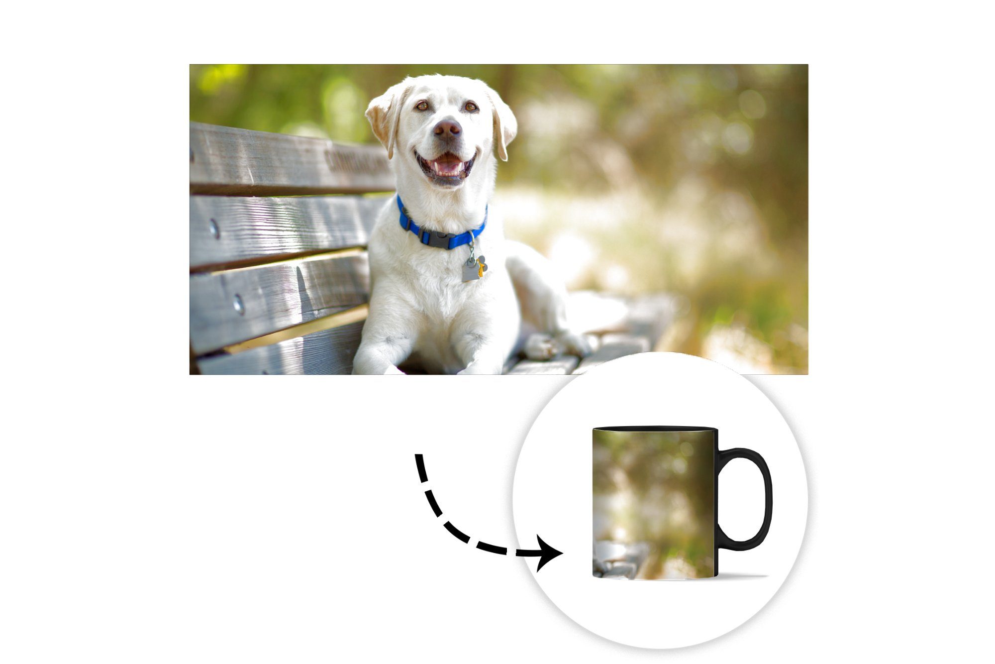 Labrador Tasse Geschenk Bank, Teetasse, Zaubertasse, einer Kaffeetassen, MuchoWow Farbwechsel, Retriever Keramik, auf