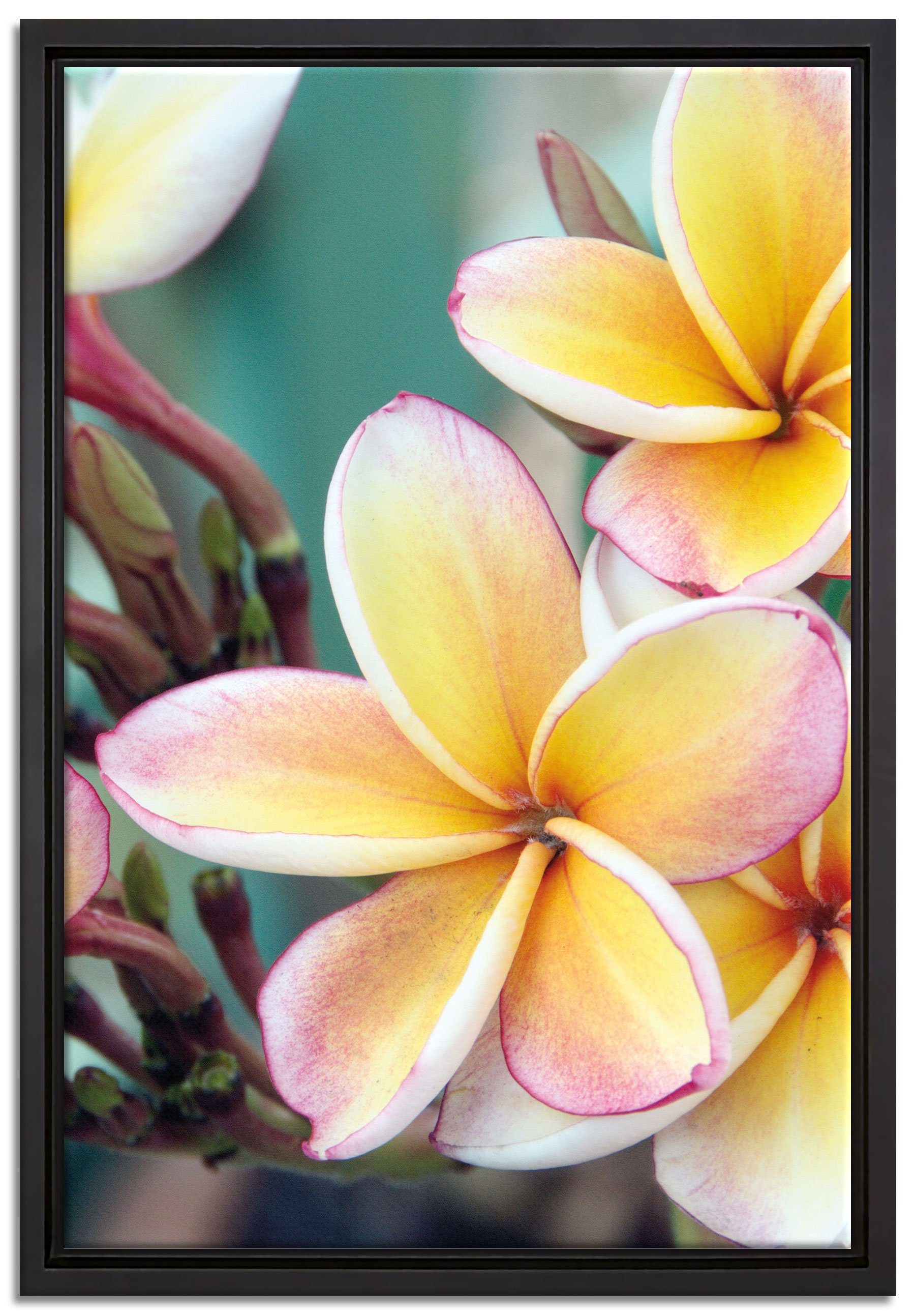 Pixxprint Leinwandbild Monoi Blüten auf Hawaii, Wanddekoration (1 St), Leinwandbild fertig bespannt, in einem Schattenfugen-Bilderrahmen gefasst, inkl. Zackenaufhänger