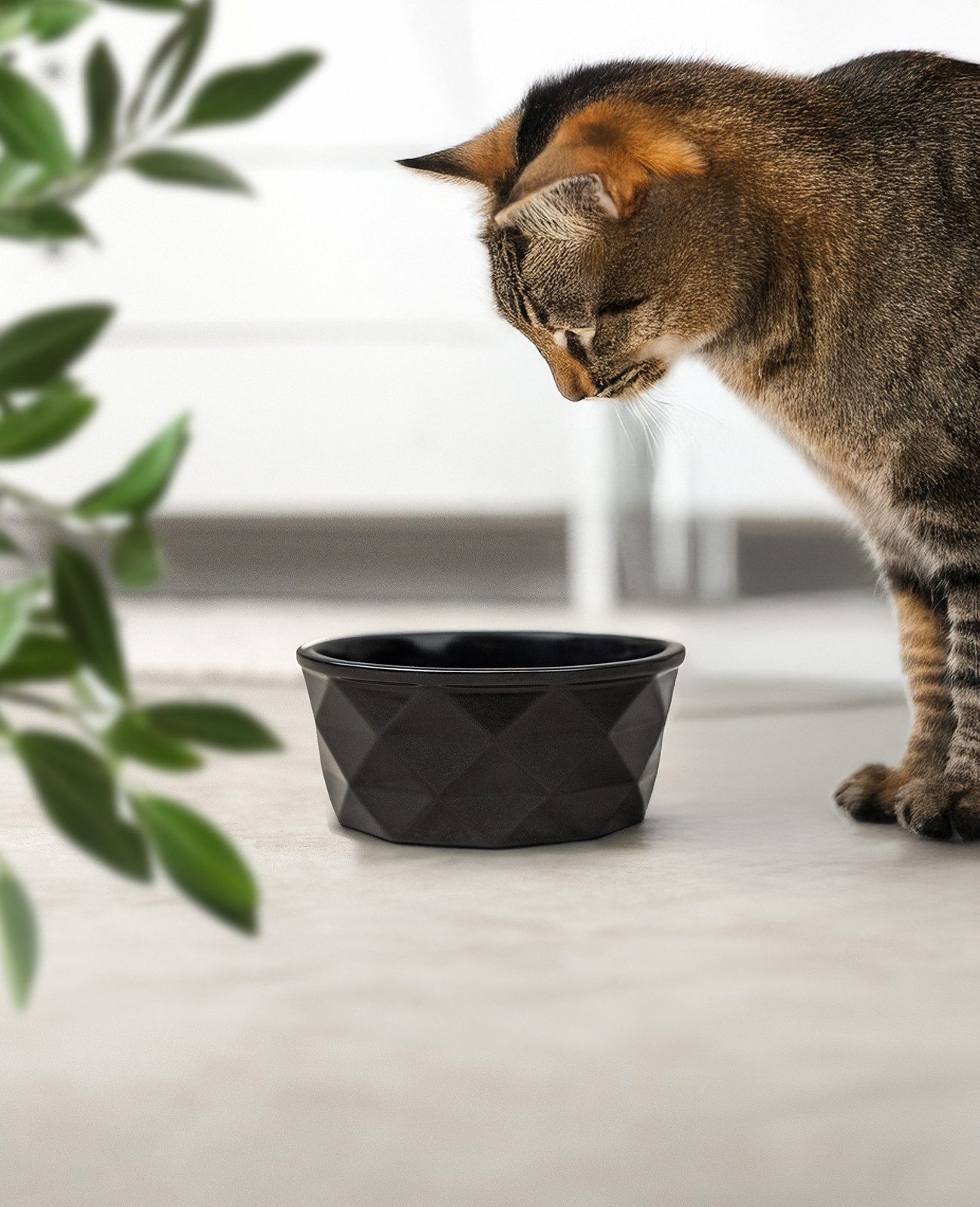 lionto Napf rutschfest für Katzen, verschiedene Größen und Farben, Keramik, langlebig, spülmaschinenfest, elegantes Design