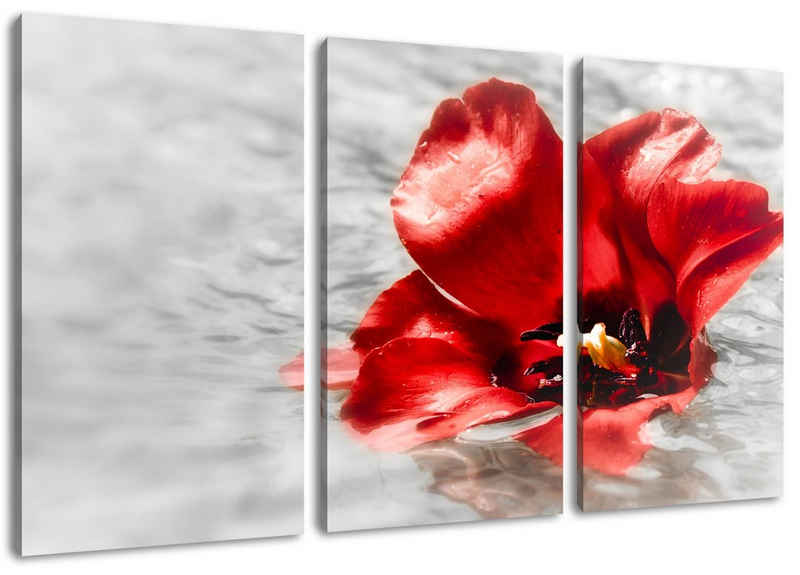 Pixxprint Leinwandbild kleine Mohnblüte im Wasser, kleine Mohnblüte im Wasser 3Teiler (120x80cm) (1 St), Leinwandbild fertig bespannt, inkl. Zackenaufhänger