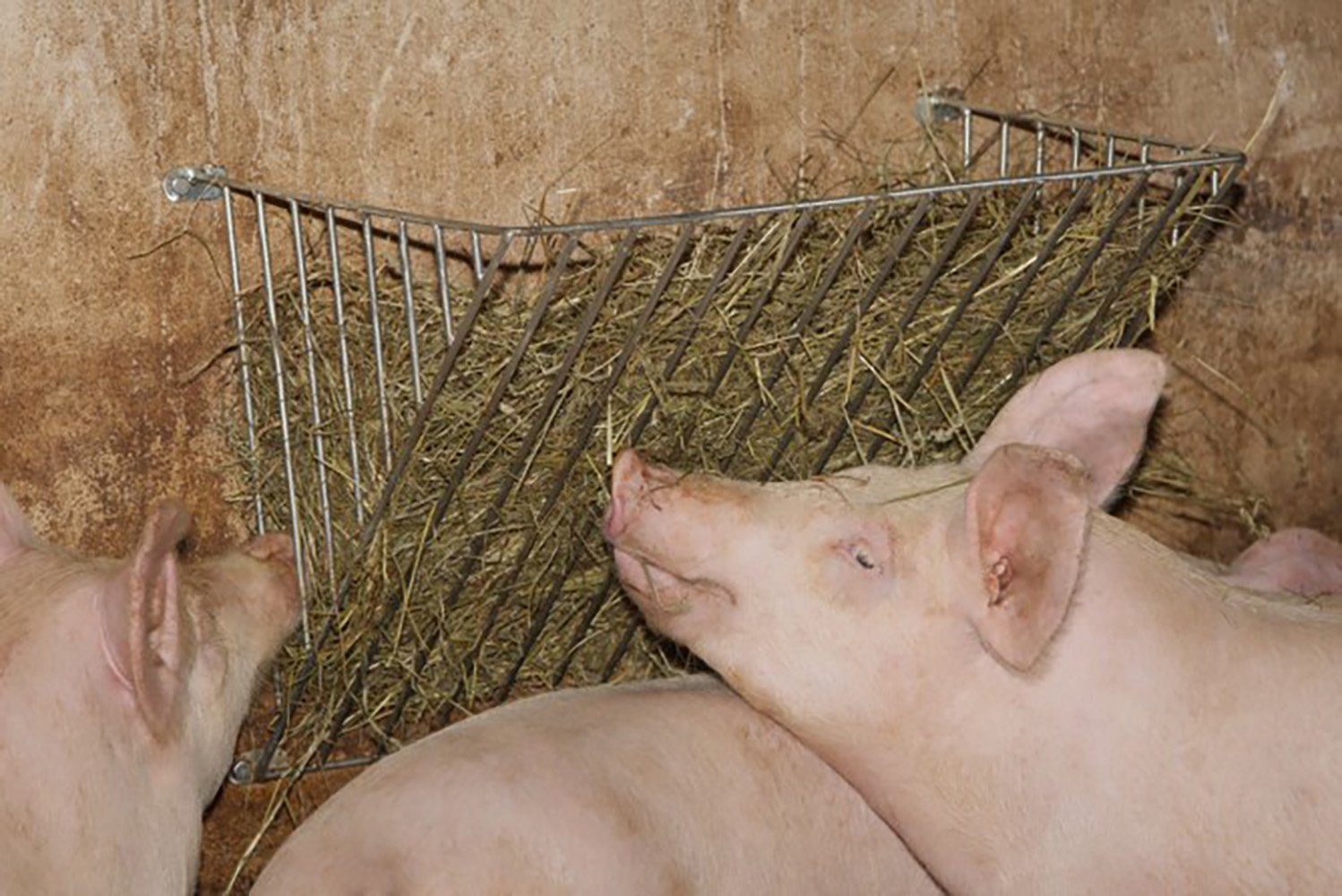 Kerbl Futterspender Kerbl Einzelraufe 20 mm, verzinkt, 3227