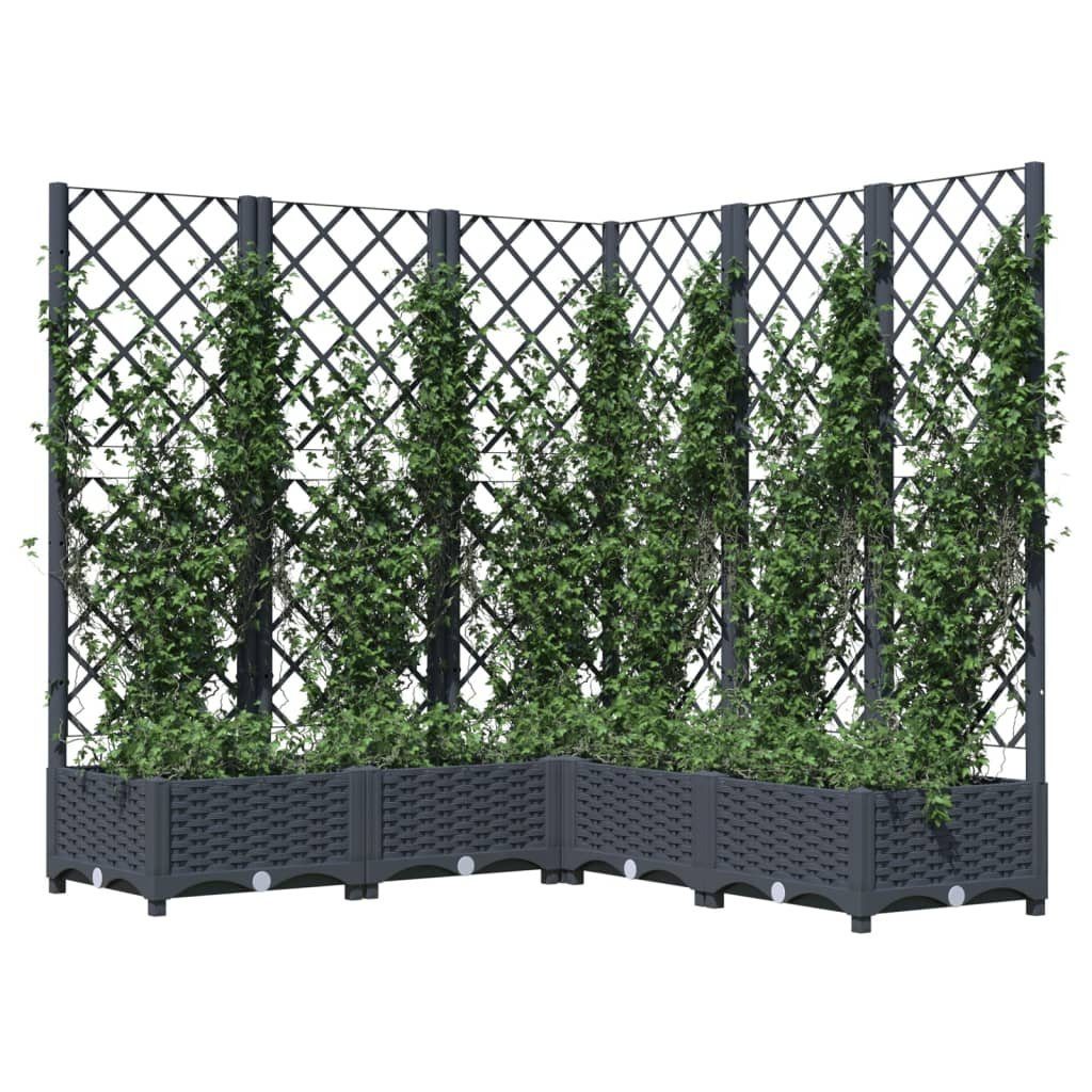 vidaXL Blumenkasten 120 x 120 x 1215 cm Pflanzkübel mit Spalier Dunkelgrau 120x120x121,5 c