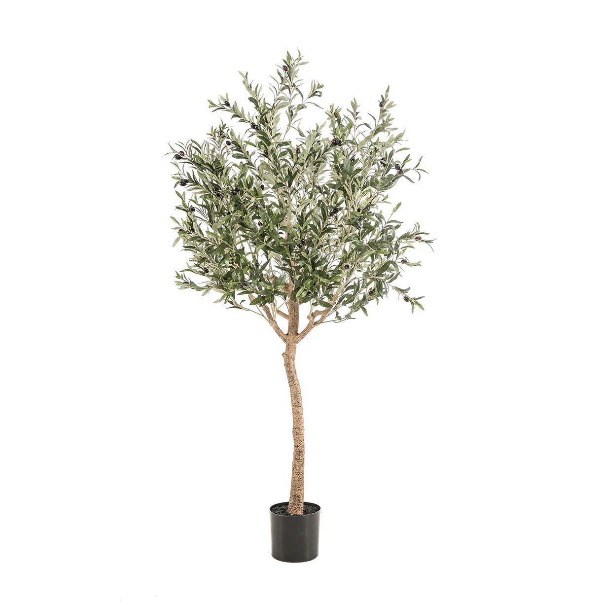 Kunstpflanze Kunstbaum Olea Europaea – Olivenbaum – 180 cm Olivenbaum, Florora, Höhe 180 cm, naturgetreue Dekopflanze