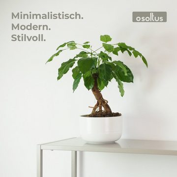 osoltus Raumteiler osoltus cube Industrie Stil Konsolentisch Konsole Stahl warm grey