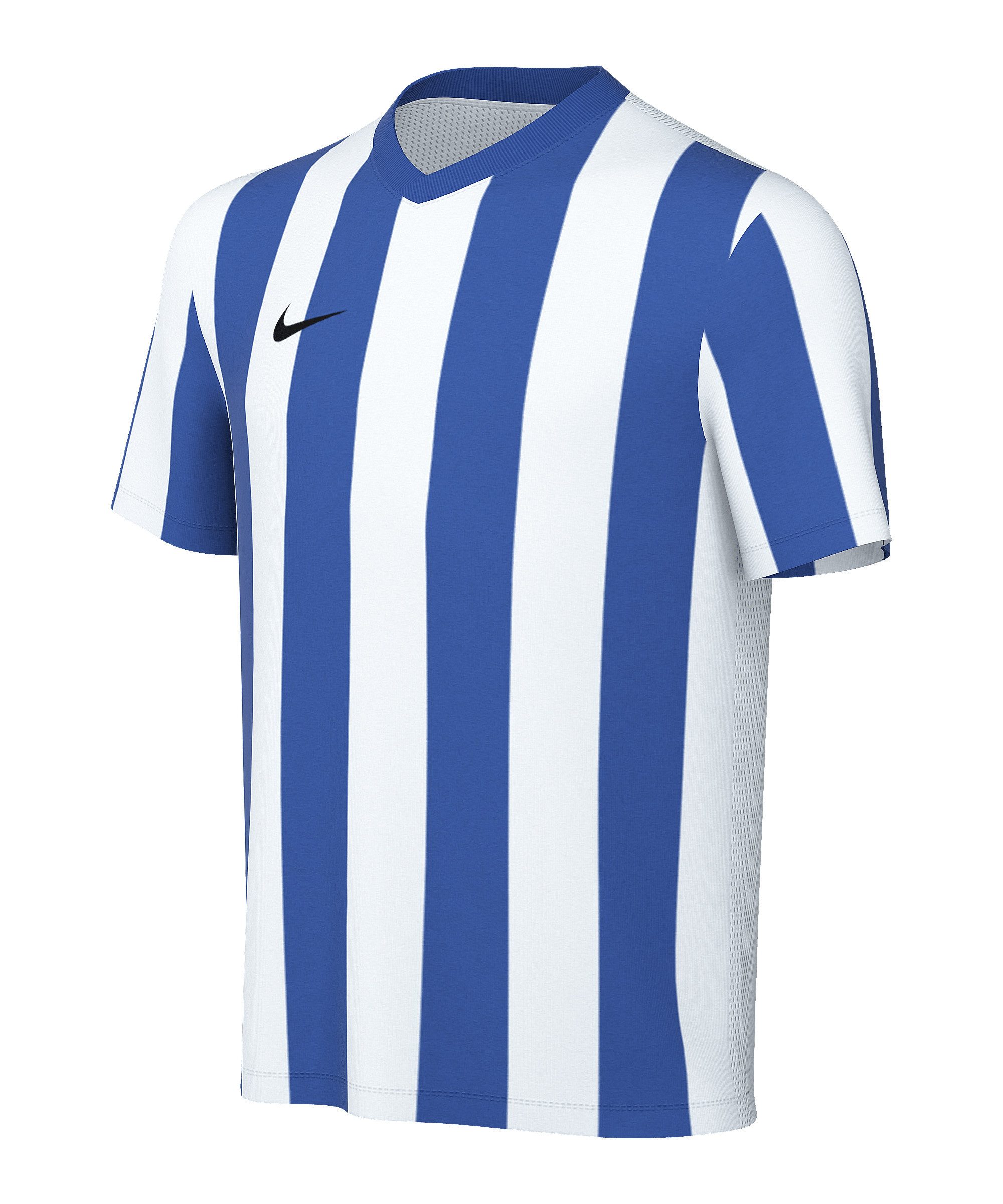 Nike Fußballtrikot Nike Performance Division V Striped Trikot Kids Teamsport