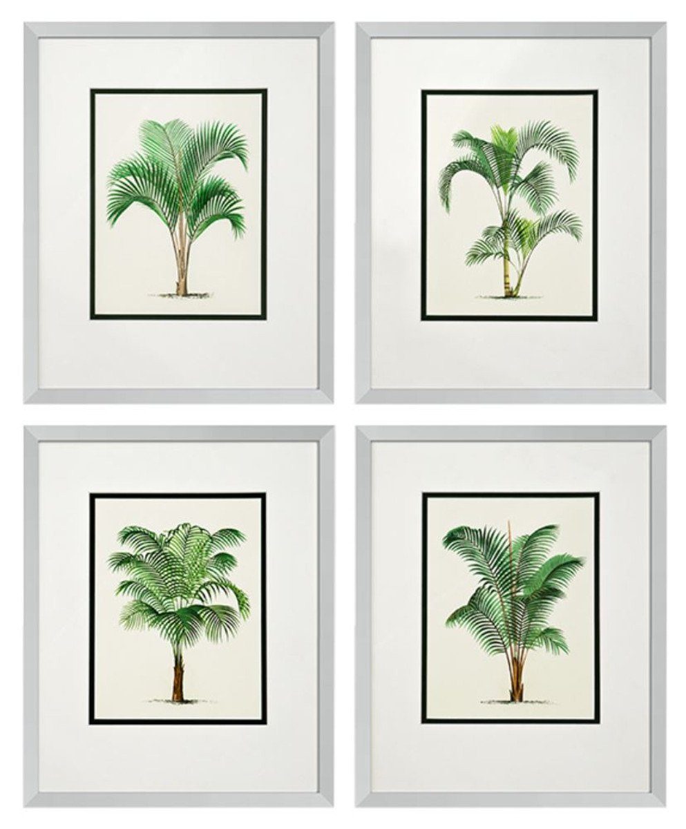 Bilderrahmen Bilder / Kunstdruck 4er Set Palmen Mehrfarbig 43 x H. 53 cm - Luxus Deko