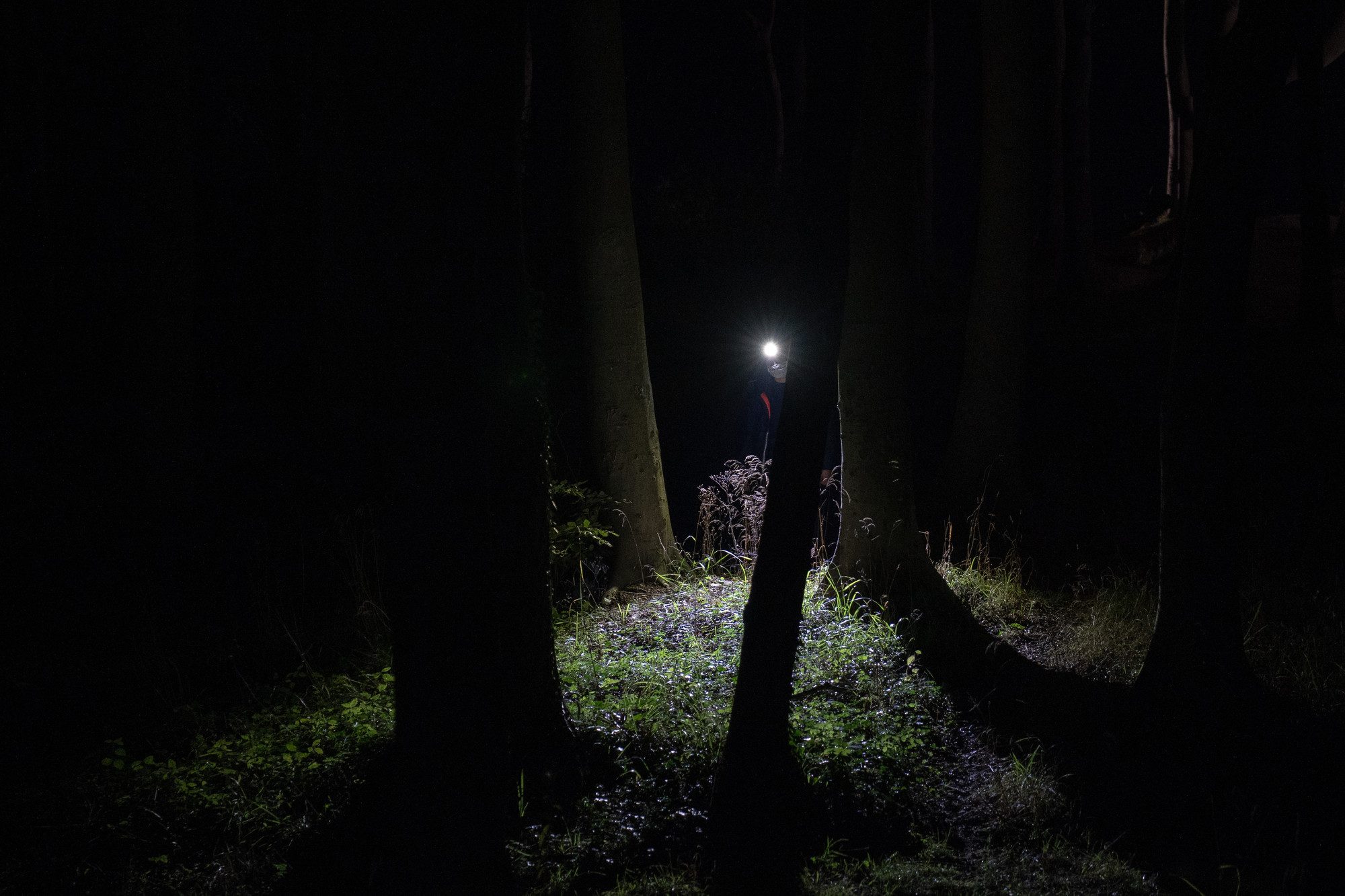 Ledlenser LED Stirnlampe MH7 Schwarz-Grau, 600 Lumen, 200m Leuchtweite, 40 Std. Laufzeit, IP54, wiederaufladbar