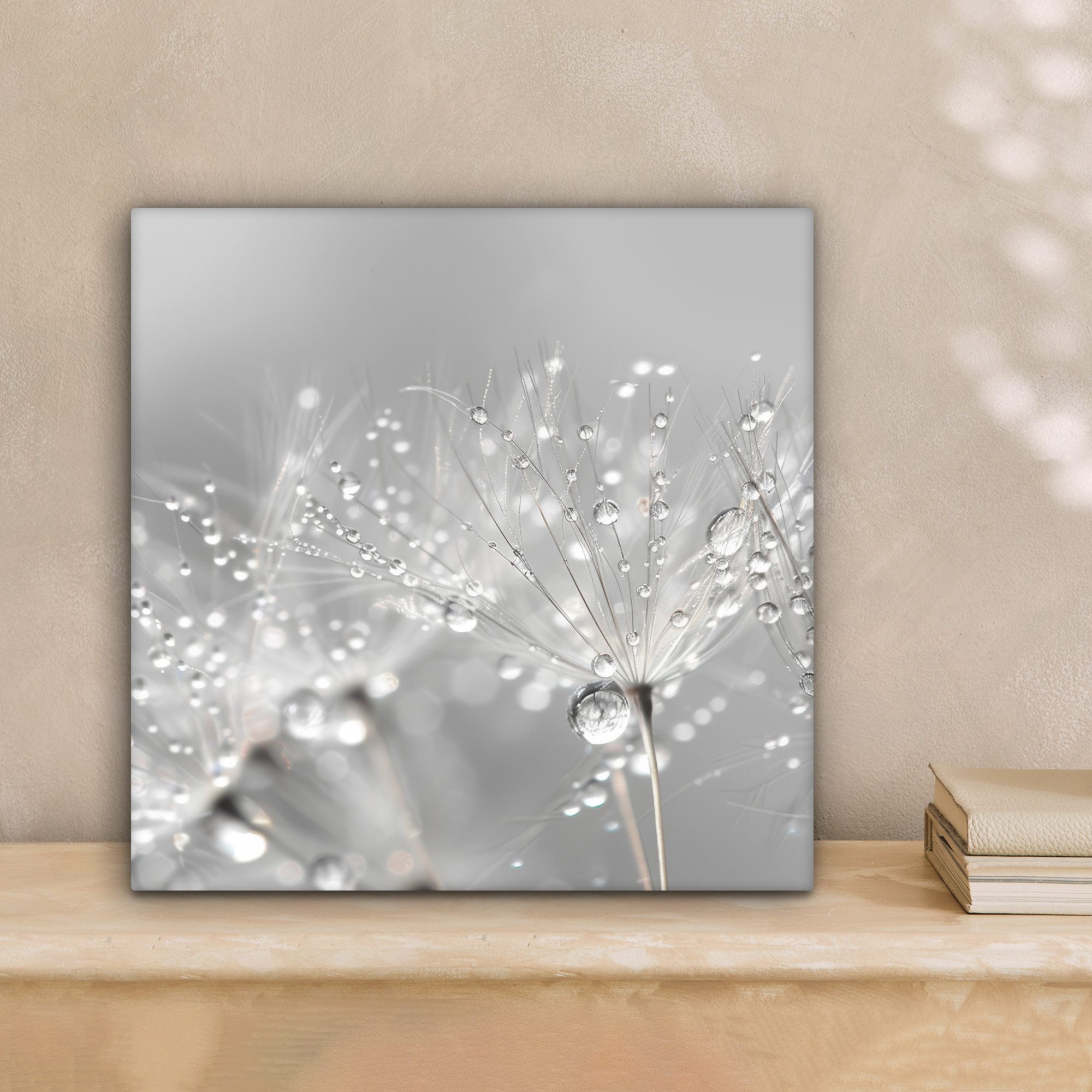 OneMillionCanvasses® Leinwandbild Löwenzahn - Wassertropfen - Stilleben - M günstig online kaufen