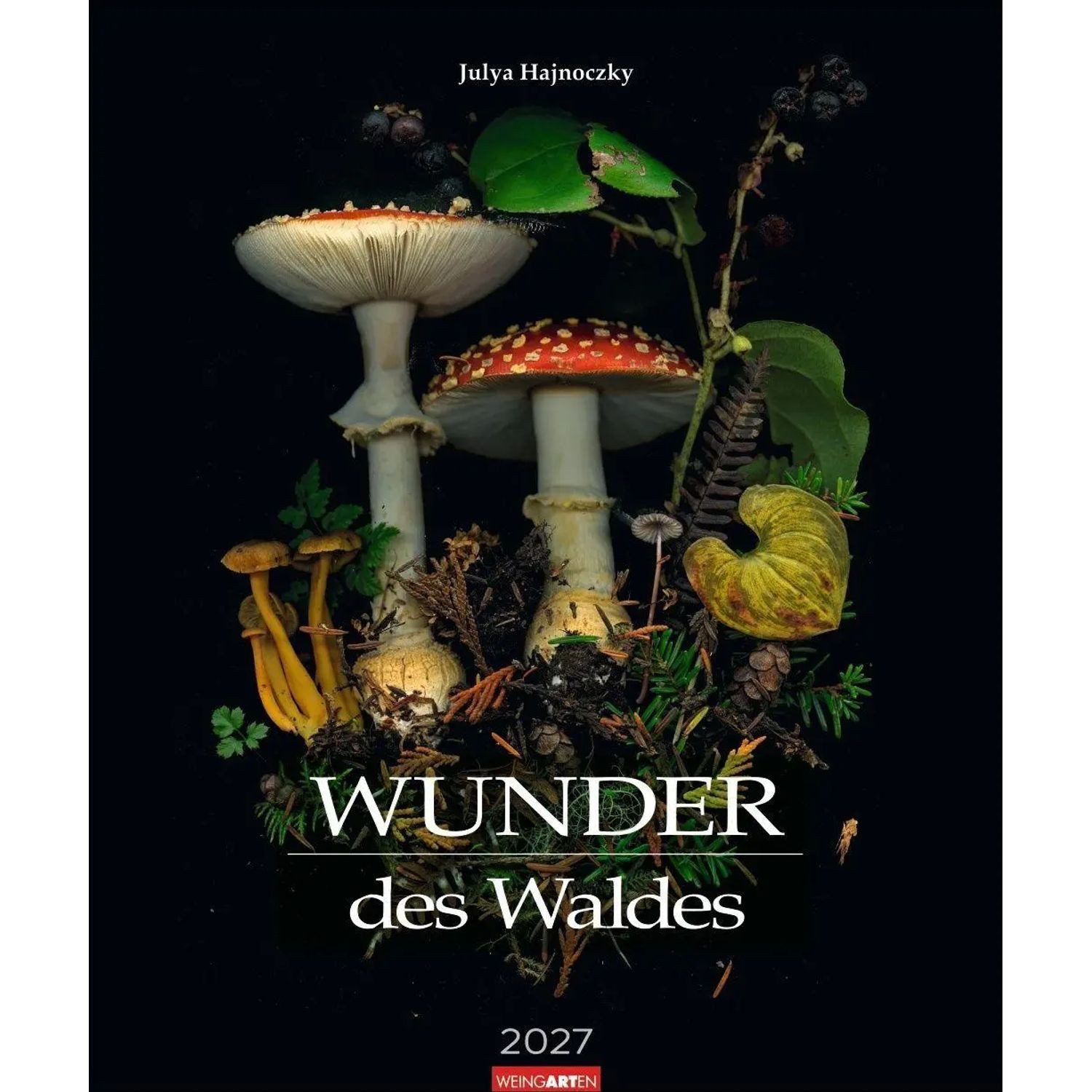 Wandkalender Wunder des Waldes 2027