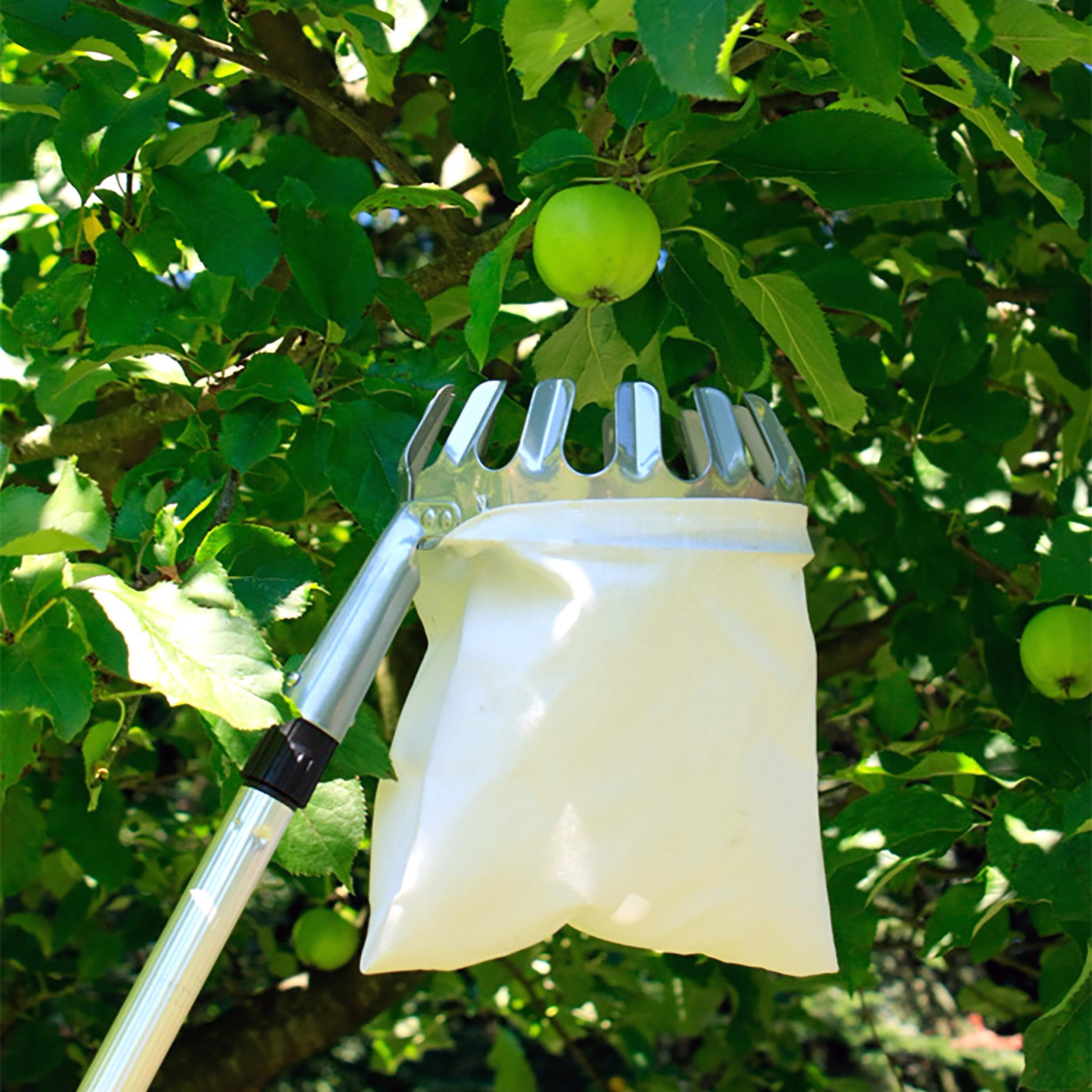 Spetebo Obstpflücker mit Teleskopstiel und Fangbeutel mit Pflückkranz, 240 cm max. Stiellänge, (Anzahl, 1-St., Stück), mit Erntebeutel – Bild 5 von 5