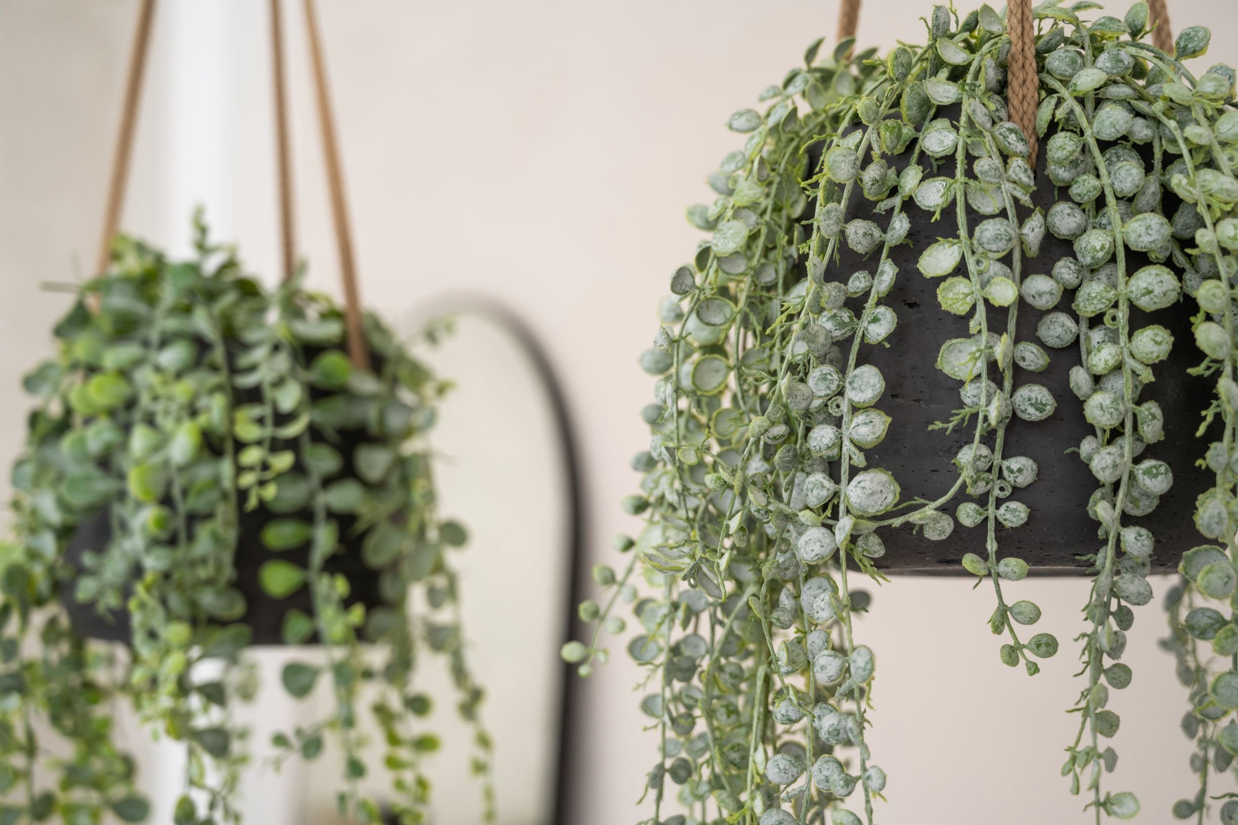 finestgreen Blumenampel Handgefertigte Blumenampel Hanging Patt günstig online kaufen
