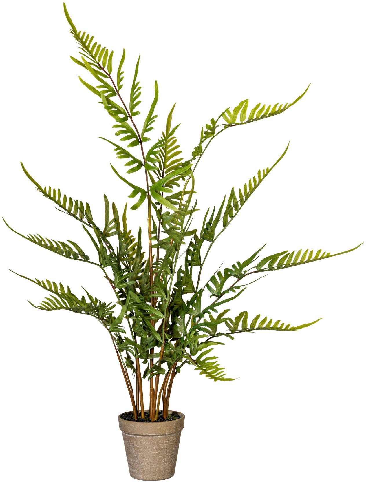 Höhe Farn, green, Zimmerpflanze Rippenfarn 80 cm Künstliche Creativ