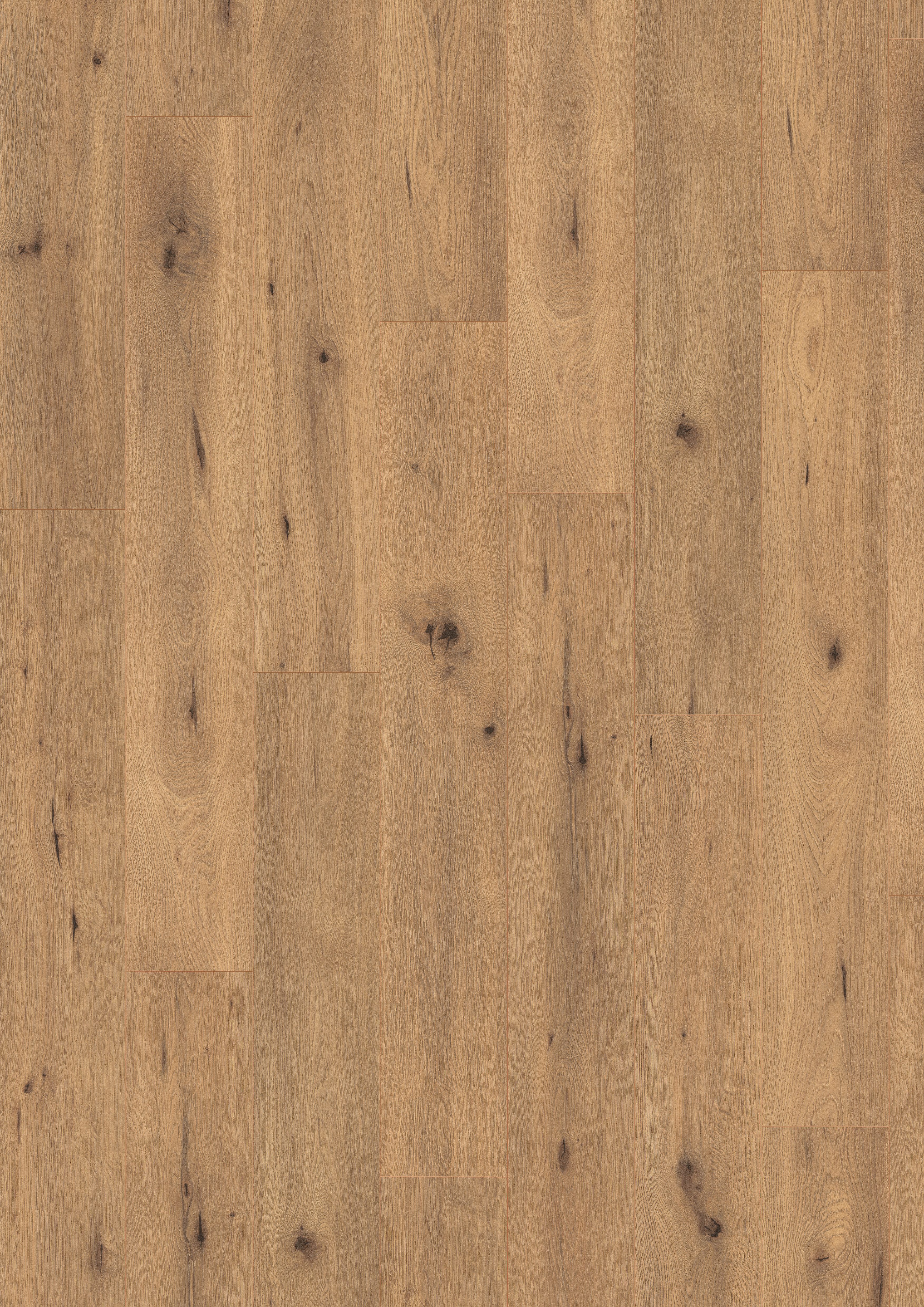 EGGER Laminat Laminat NatureSense EL2067 Wildeiche natur, (7mm, 2,494qm), Praktisch & Pflegeleicht
