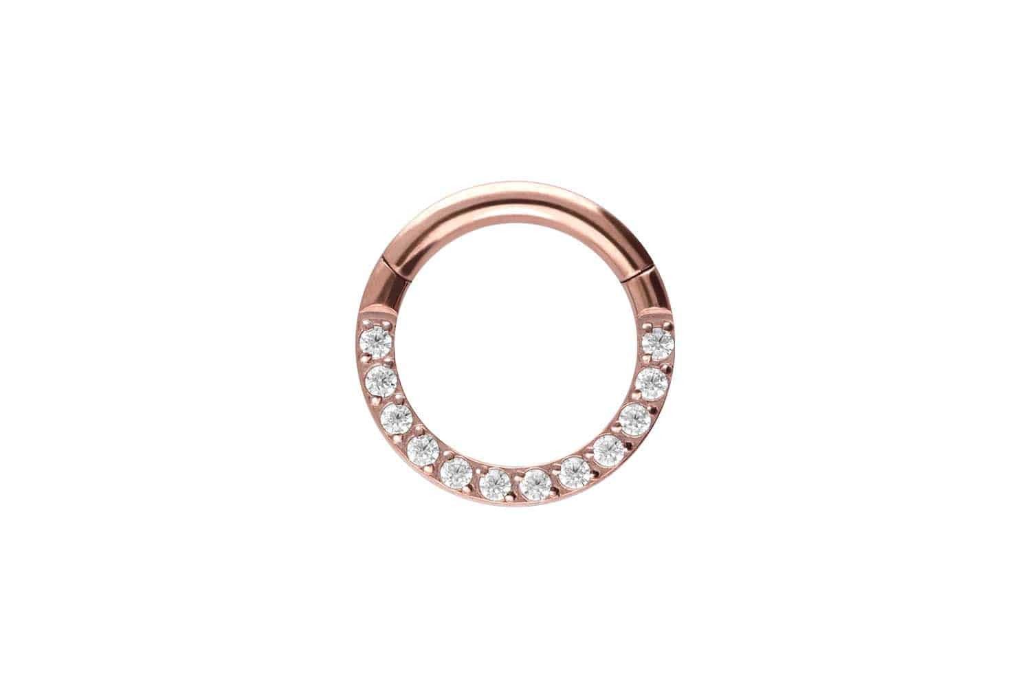 Piercing-Set Titan Segmentring Clicker EINGEFASSTE KRISTALLE