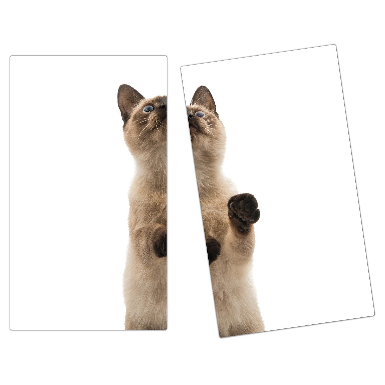 Primedeco Herd-Abdeckplatte Herdabdeckplatte Spritzschutz aus Glas Siamesiche Katze, Glas, (2 tlg)