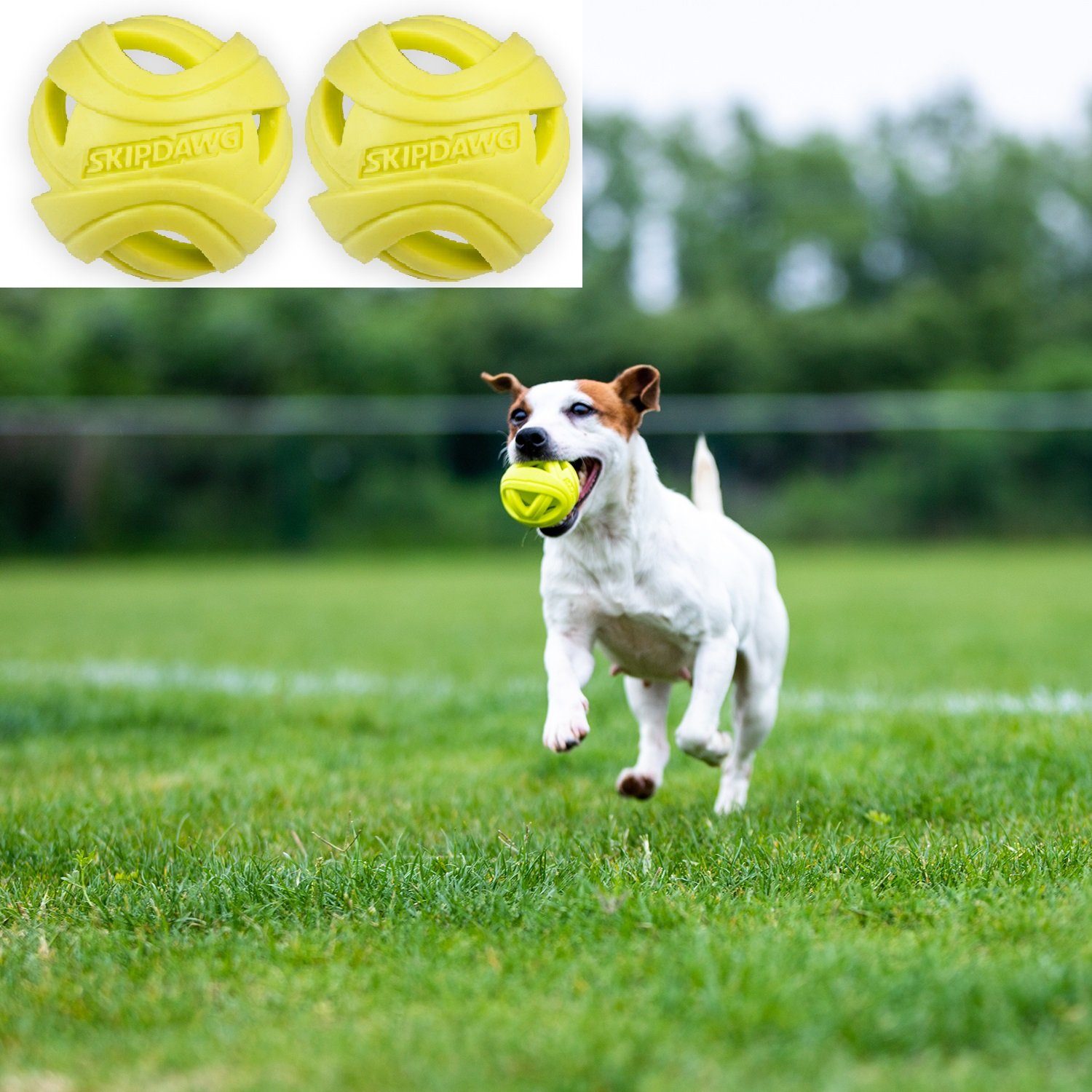 Tierball ø ca. Skipdawg Ball 6,2 (2-tlg) Ball, Breezy 2er- Hunde Set cm SKIPDAWG