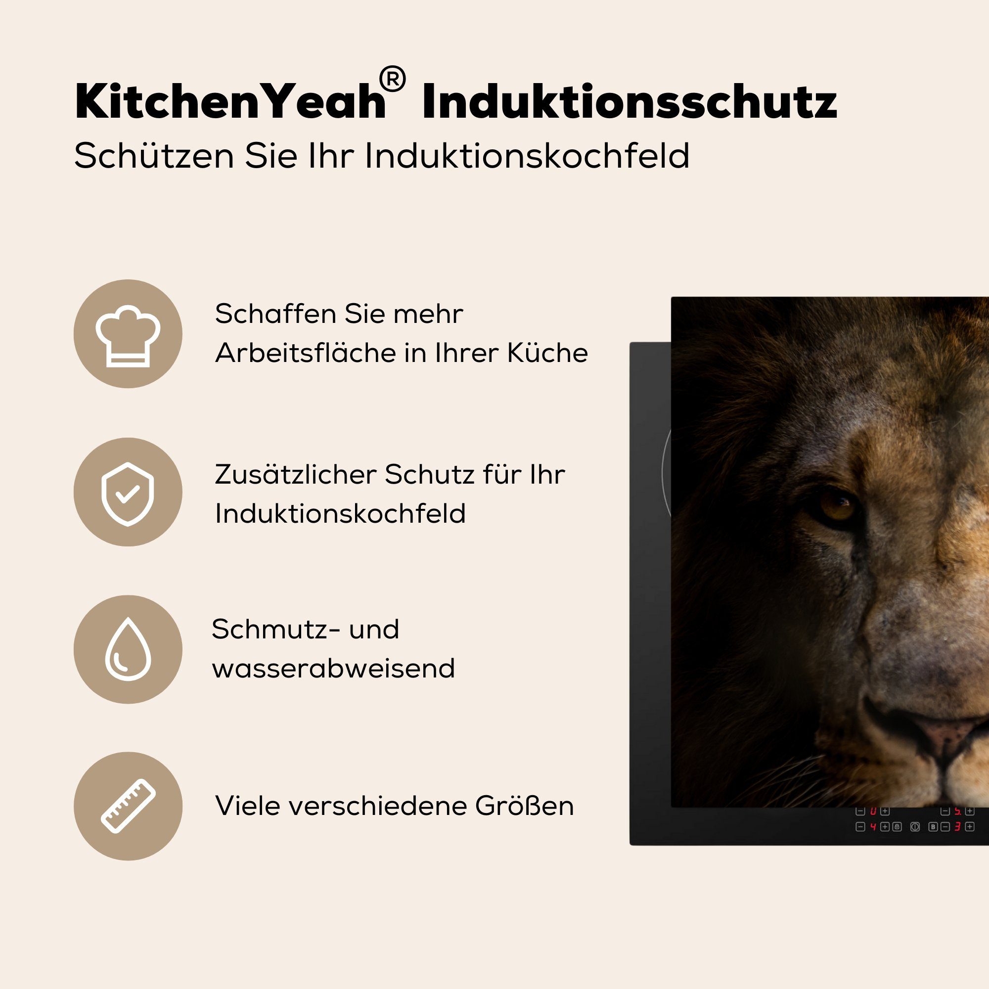 Vinyl, tlg), 81x52 Induktionskochfeld Ceranfeldabdeckung Schutz küche, cm, Herdblende-/Abdeckplatte Farben, MuchoWow die für Löwen Profil - - (1