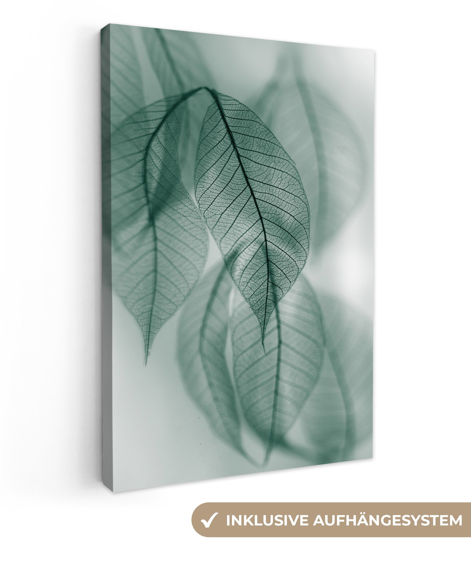 OneMillionCanvasses® Leinwandbild Blätter - Grün - Natur - Stilleben, Fotod günstig online kaufen