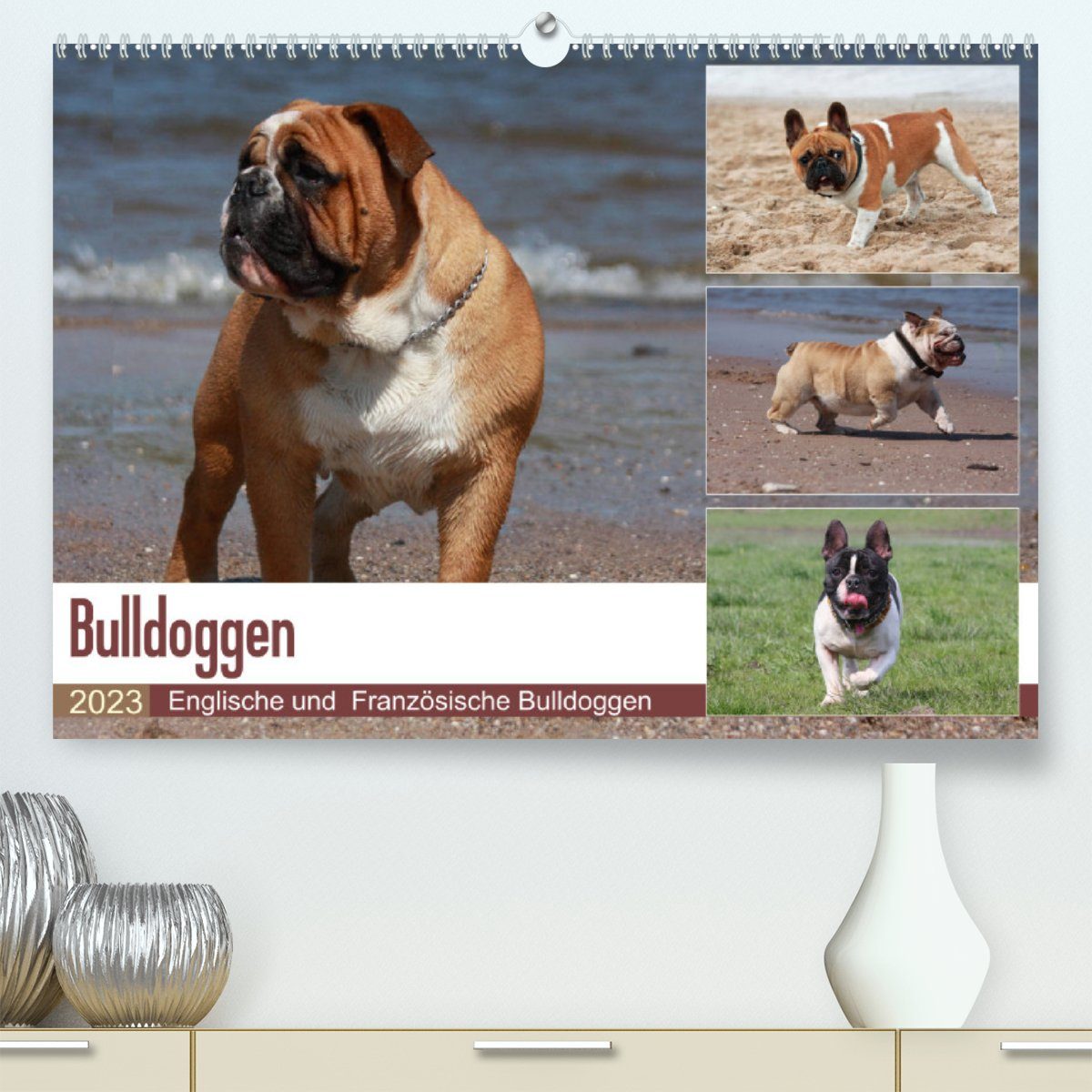 CALVENDO Wandkalender Bulldoggen - Englische und Französische Bulldoggen (Premium, hochwertiger DIN A2 Wandkalender 2023, Kunstdruck in Hochglanz)