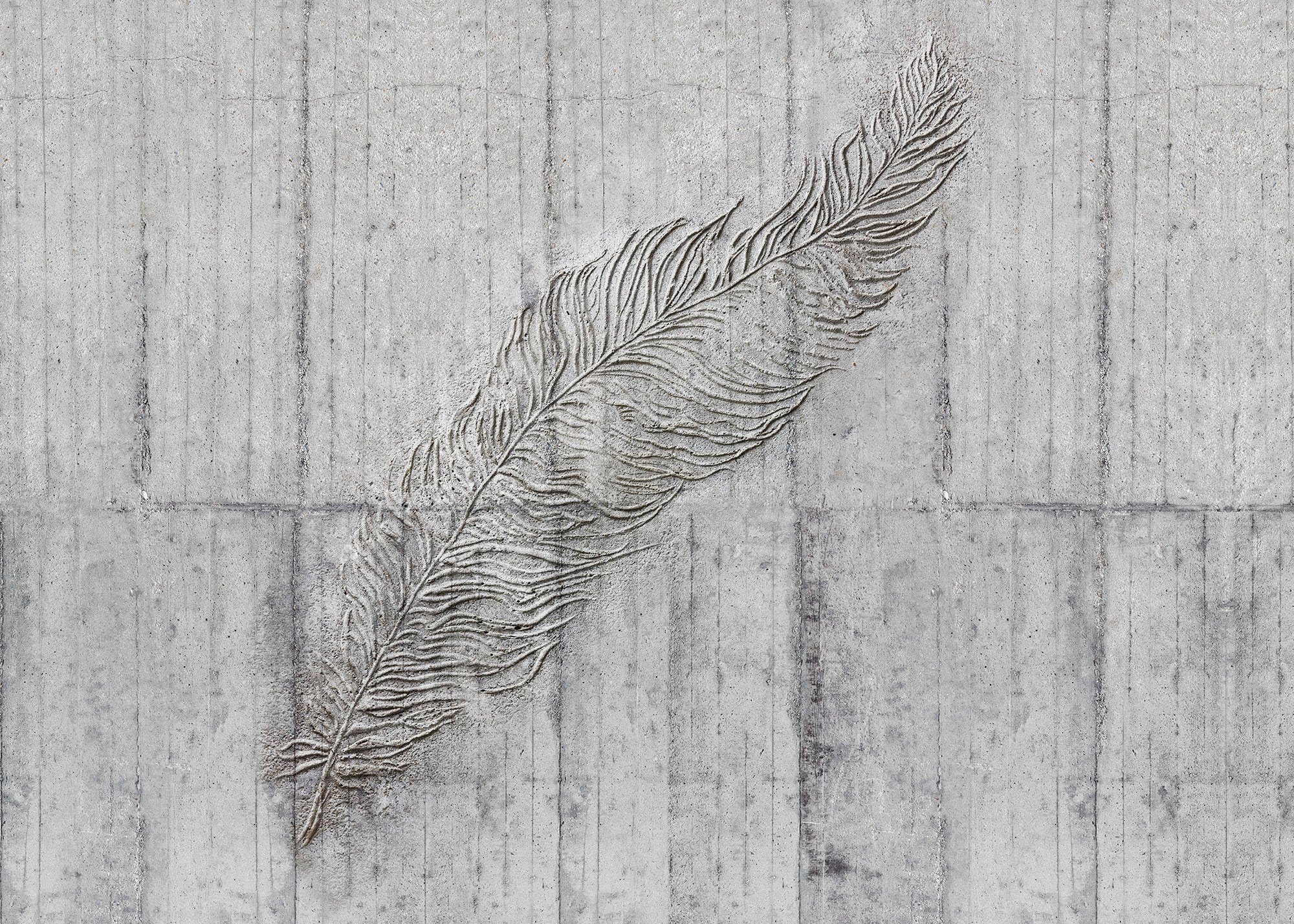 Komar Vliestapete Concrete Feather, 350x250 cm (Breite x Höhe) | Vliestapeten