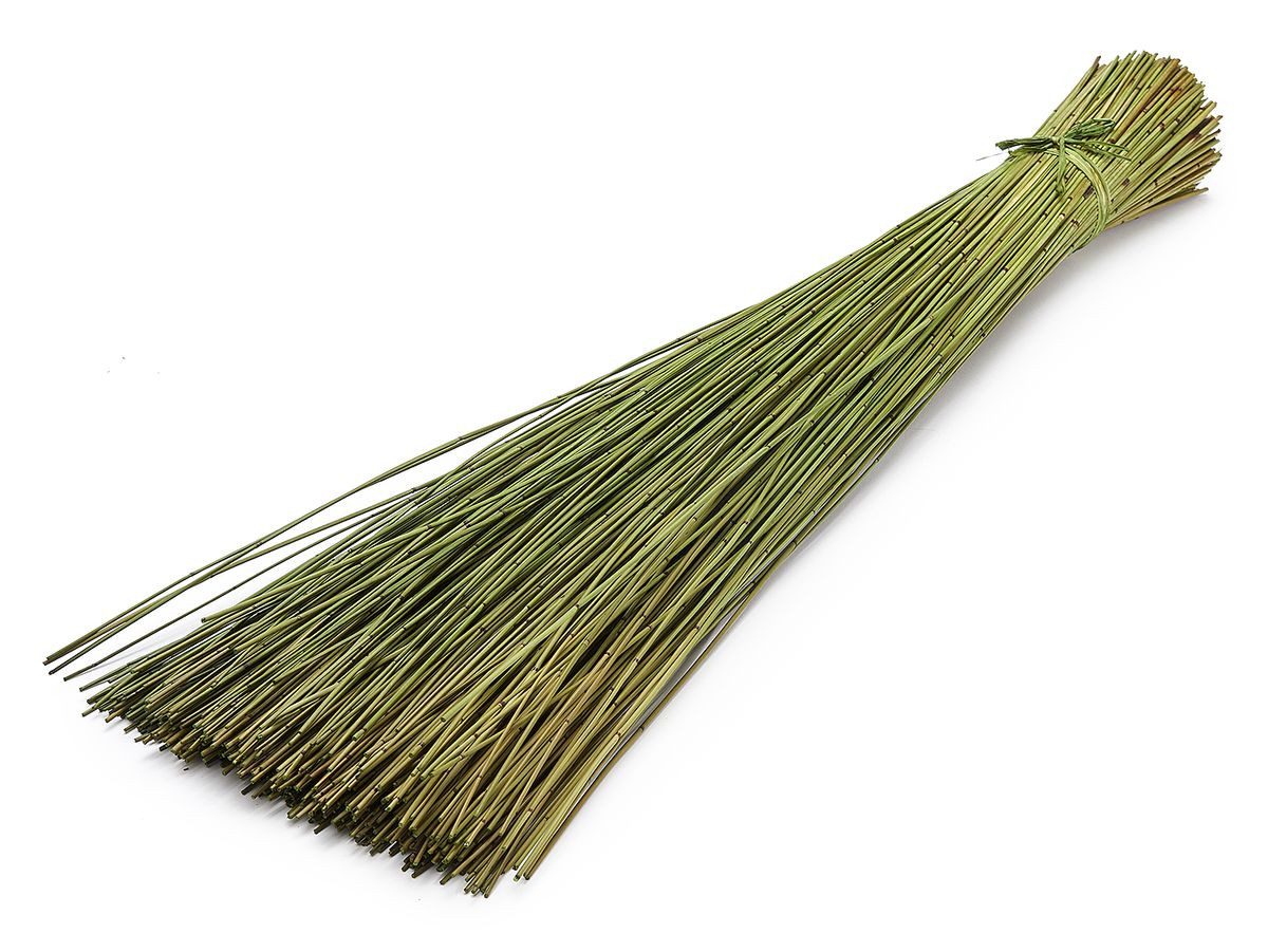 Trockenblume Vleireed apfelgrün 75cm 1kg Restio günstig online kaufen