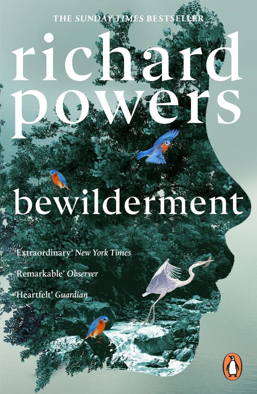 Bewilderment / Richard Powers