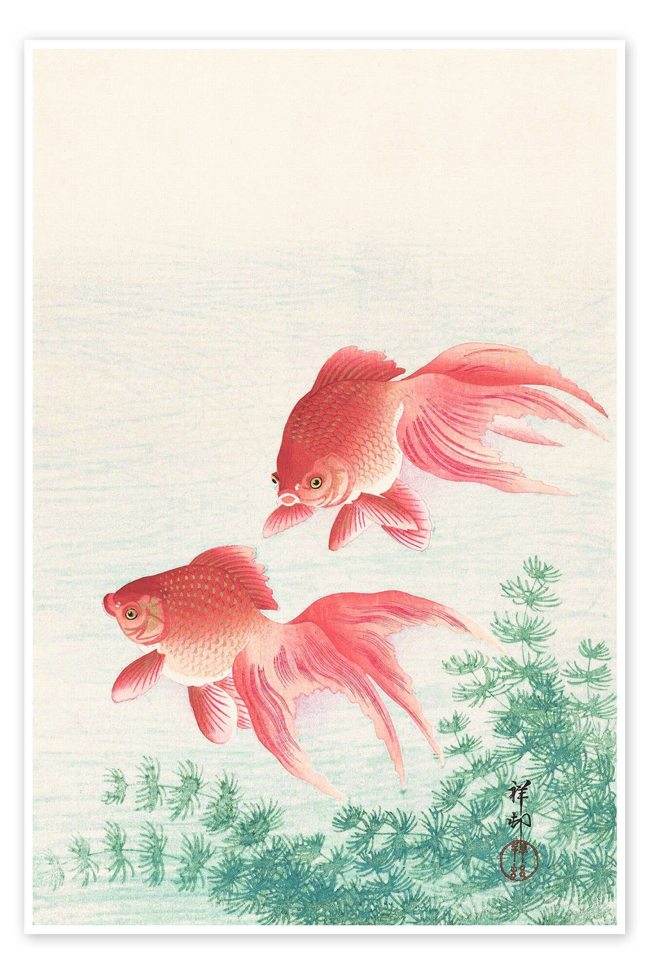 Posterlounge Poster Ohara Koson, Zwei Goldfische, Malerei