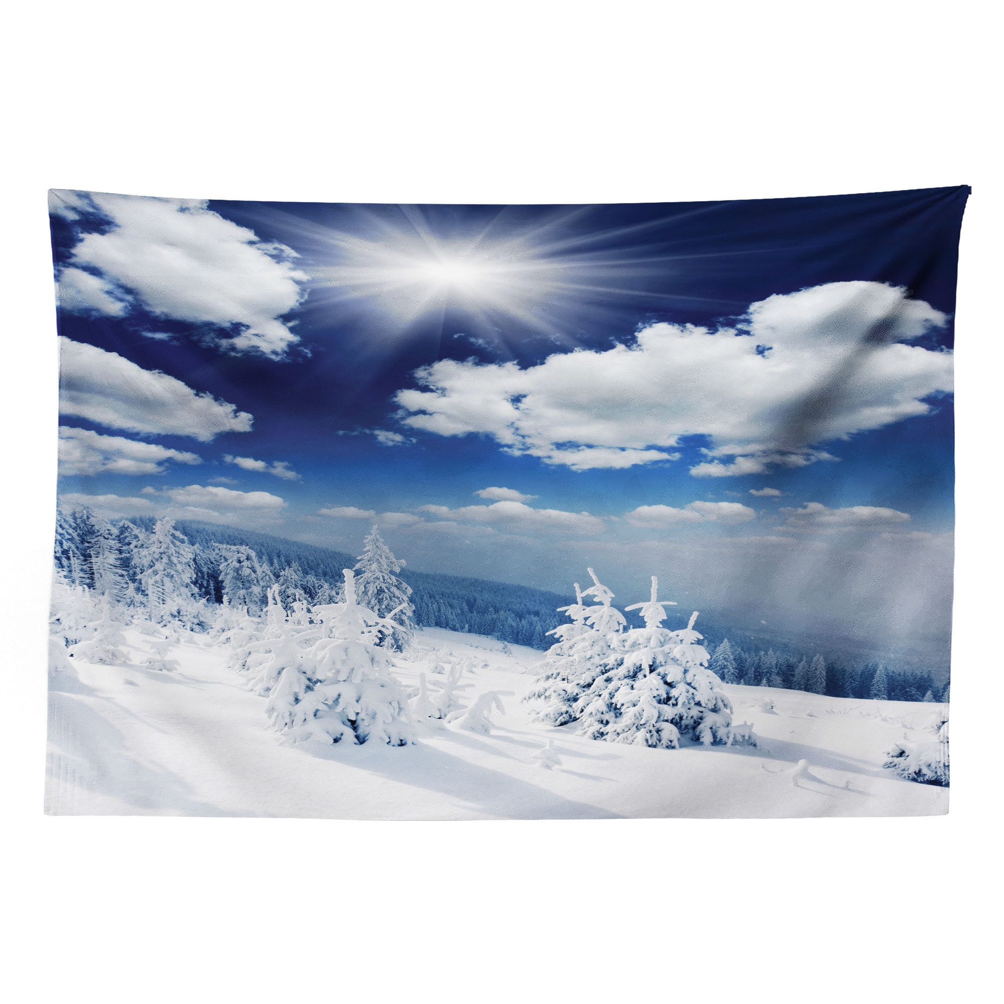 Abakuhaus Wandteppich aus Weiches Mikrofaser Stoff Für das Wohn und Schlafzimmer, rechteckig, Weiß Schnee bedeckte Bäume