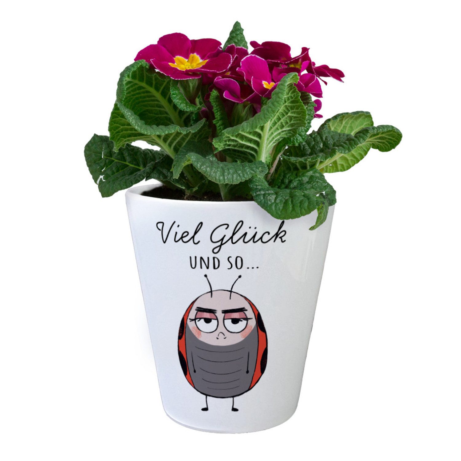 speecheese Blumentopf Marienkäfer Blumentopf mit Spruch günstig online kaufen